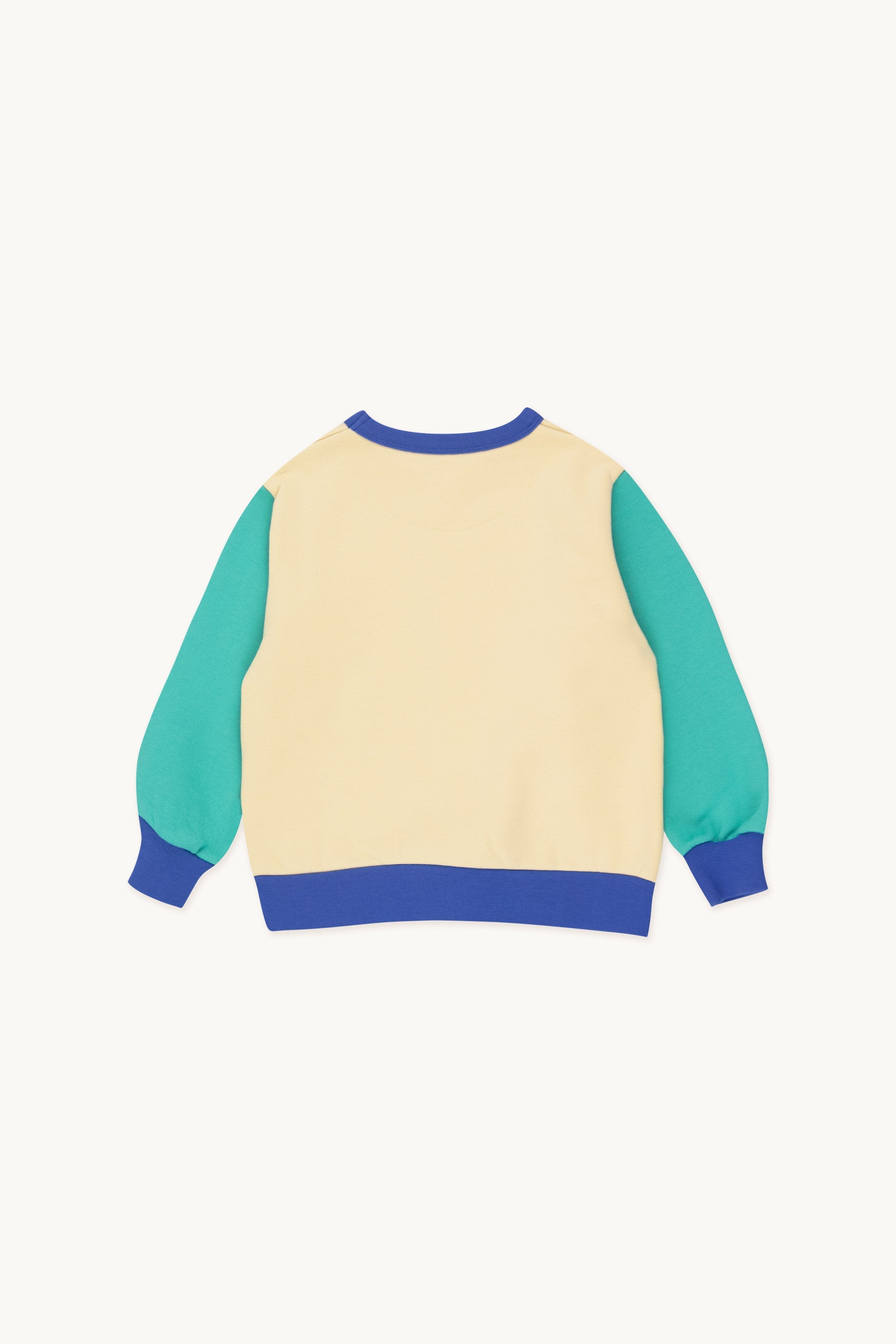 COLOR BLOCK SUDADERA