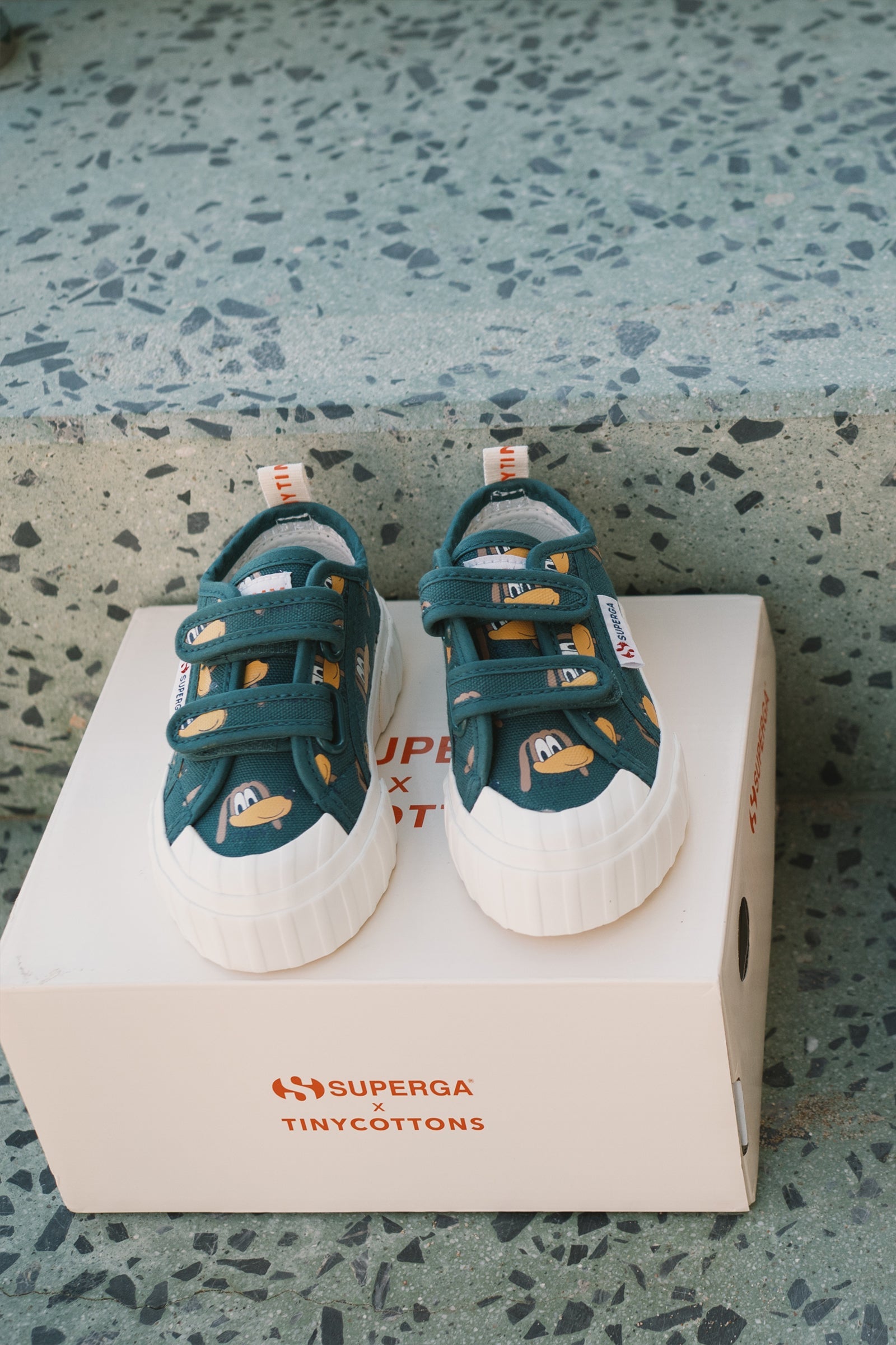 SNEAKERS DOGS