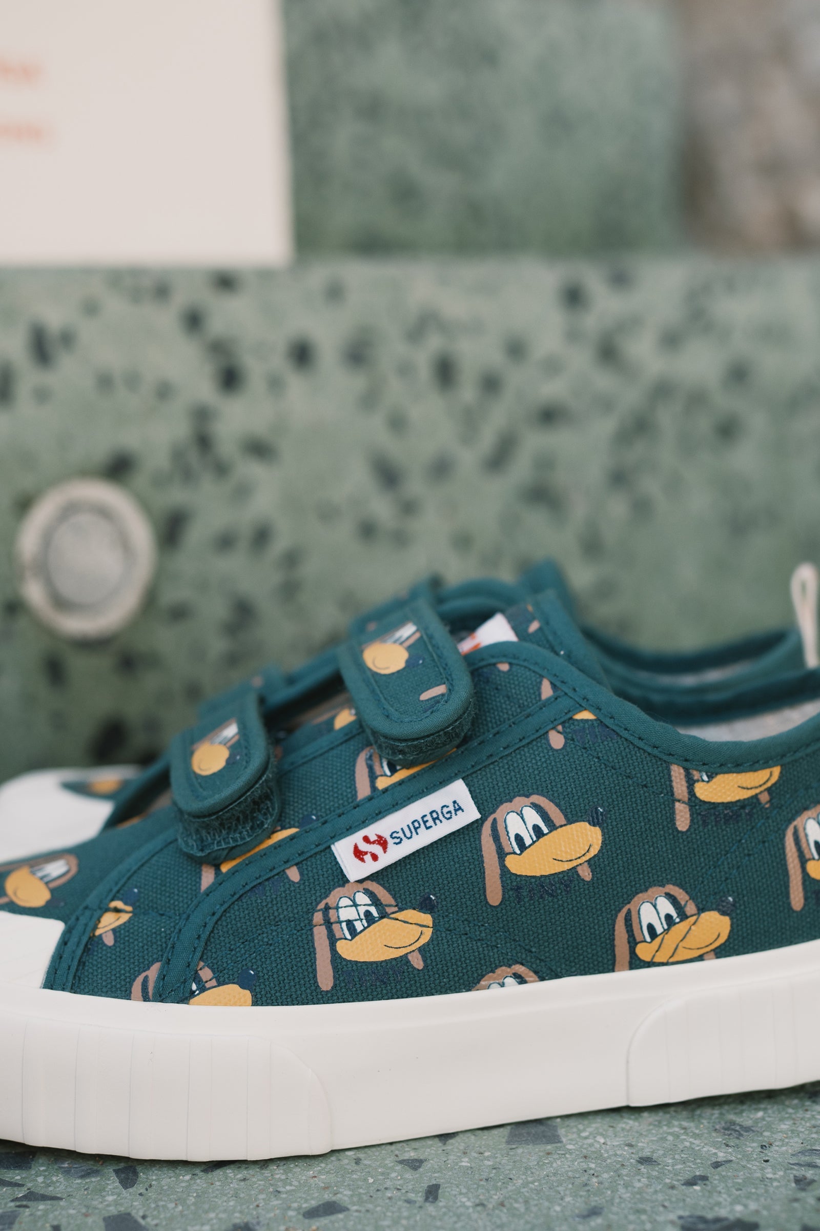 SNEAKERS DOGS