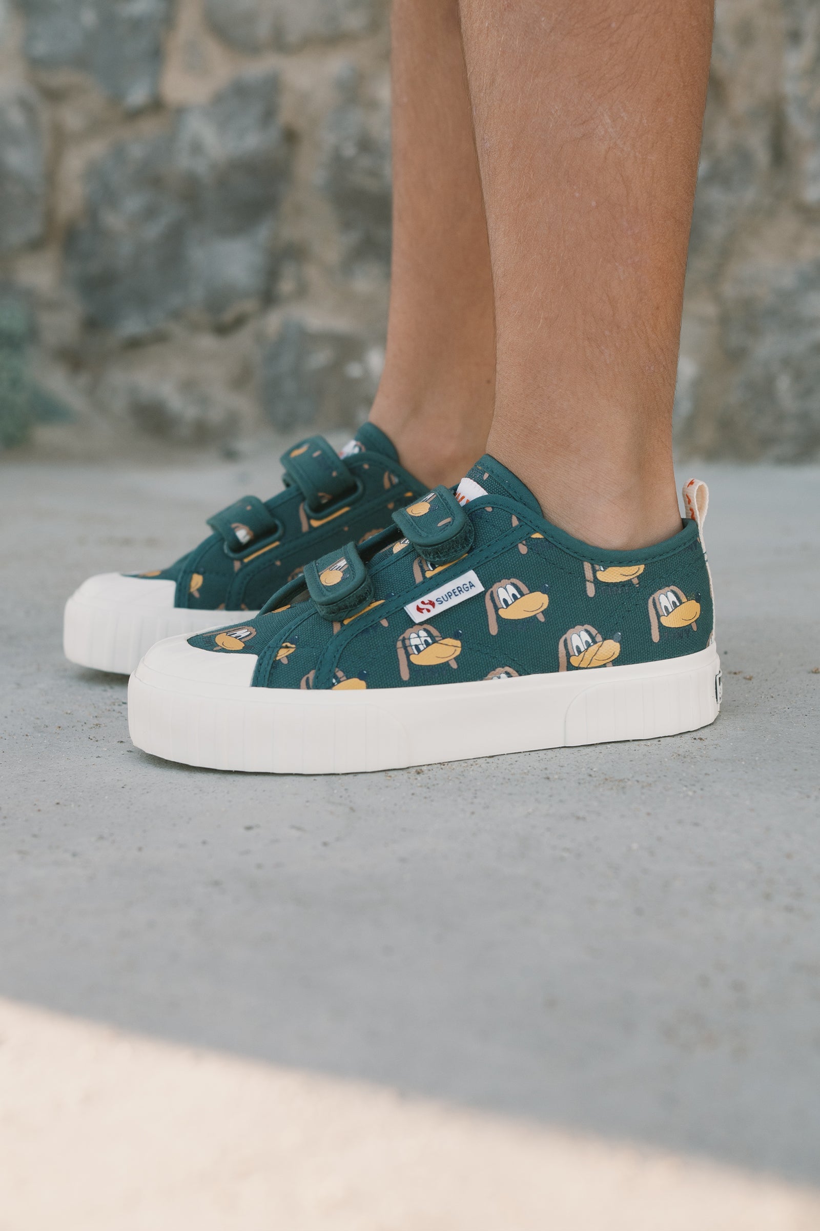 SNEAKERS DOGS