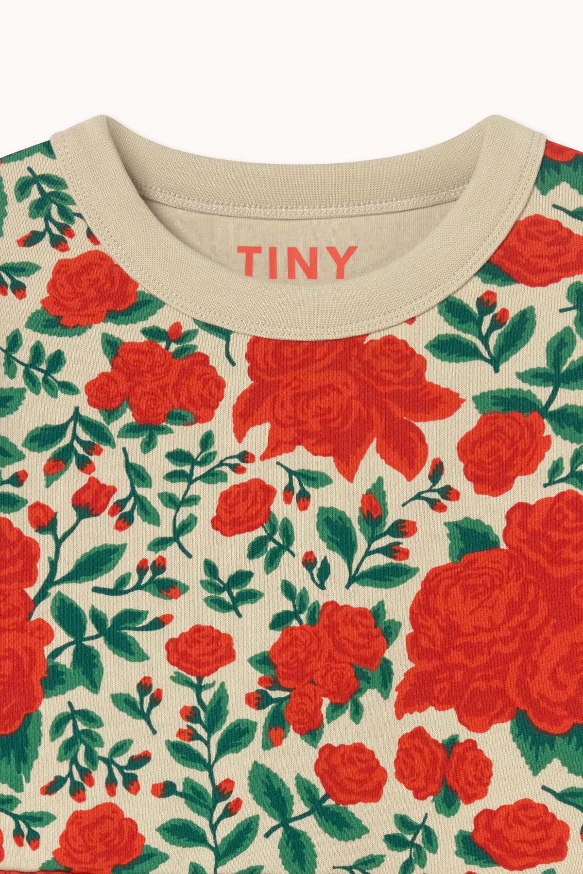 ROSES DRESS