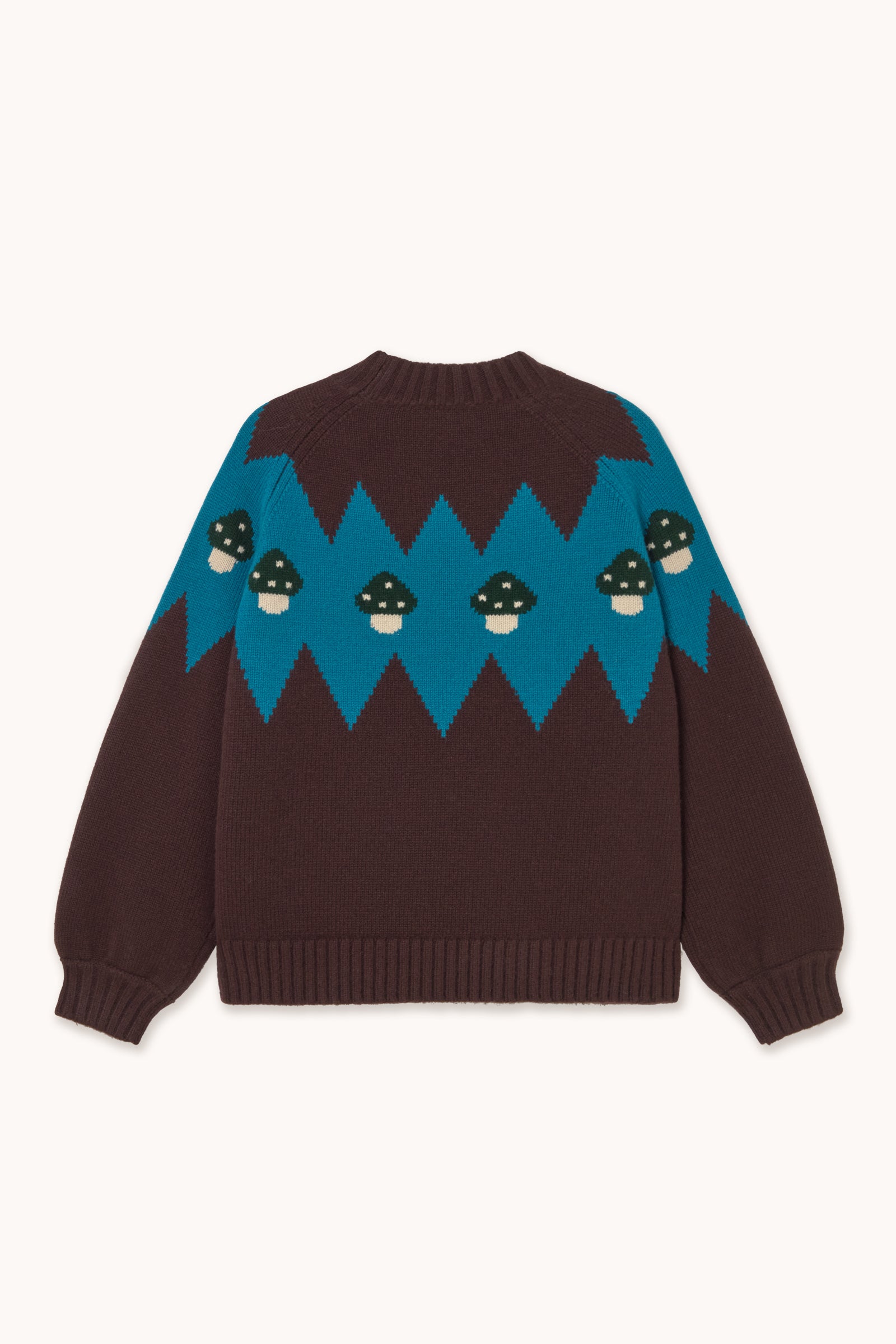 MUSHROOMS SWEATER