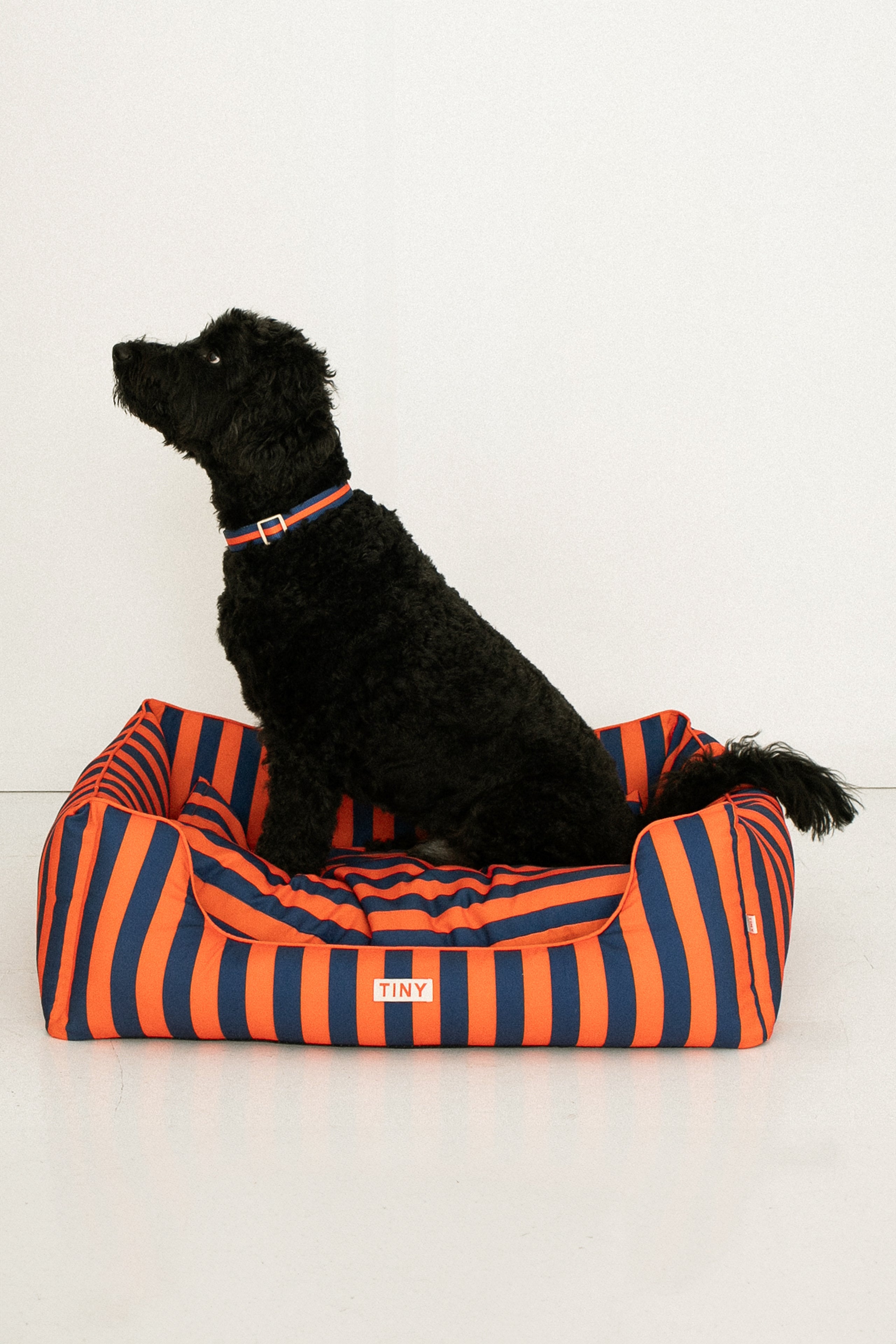 STRIPES ADJUSTABLE COLLAR