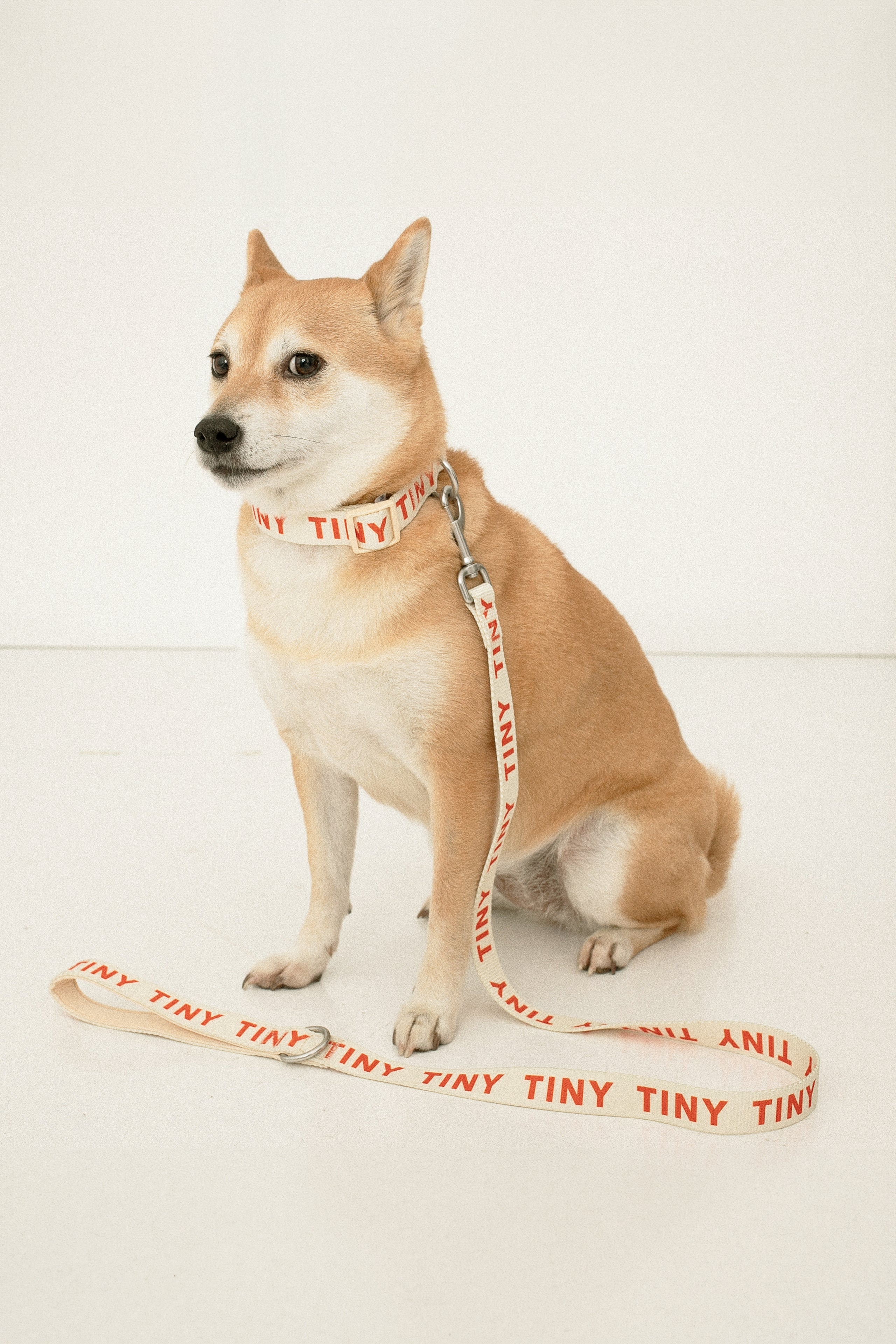 TINY ADJUSTABLE COLLAR