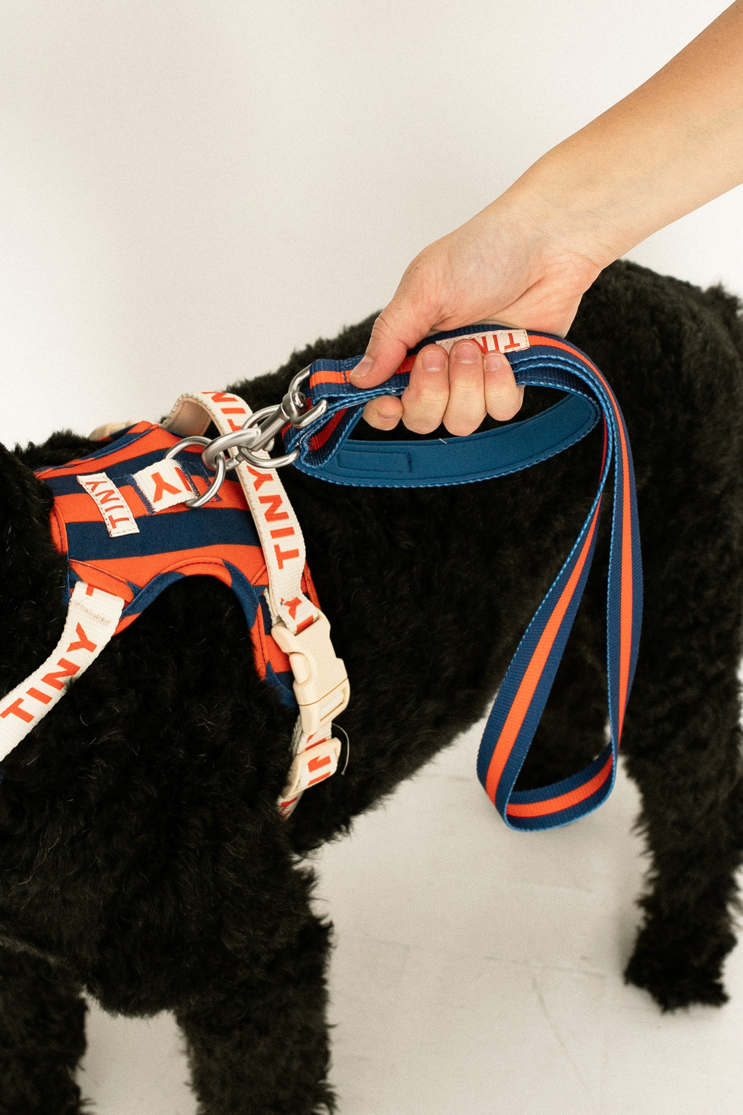 STRIPES DOG LEASH