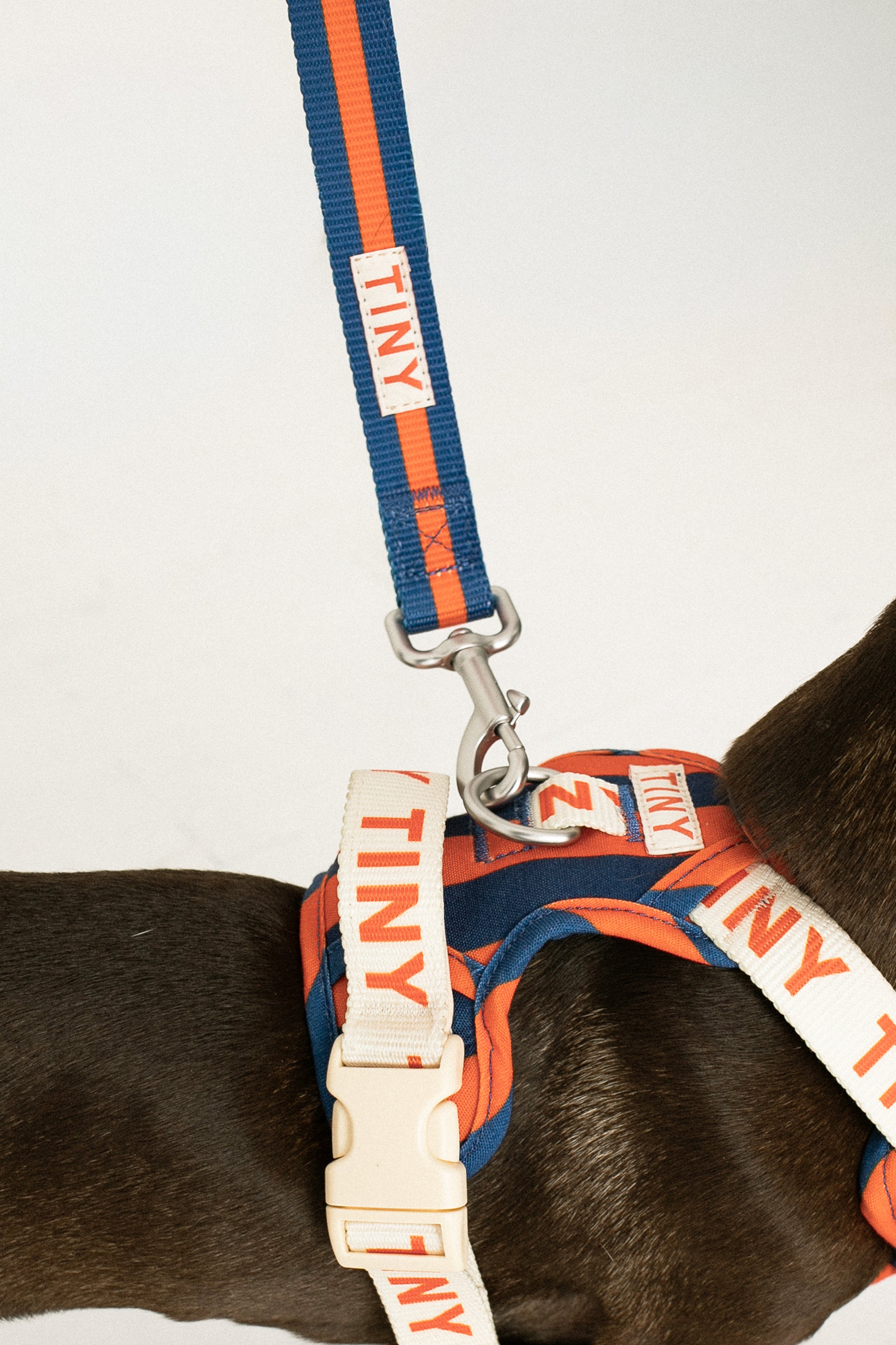STRIPES DOG LEASH