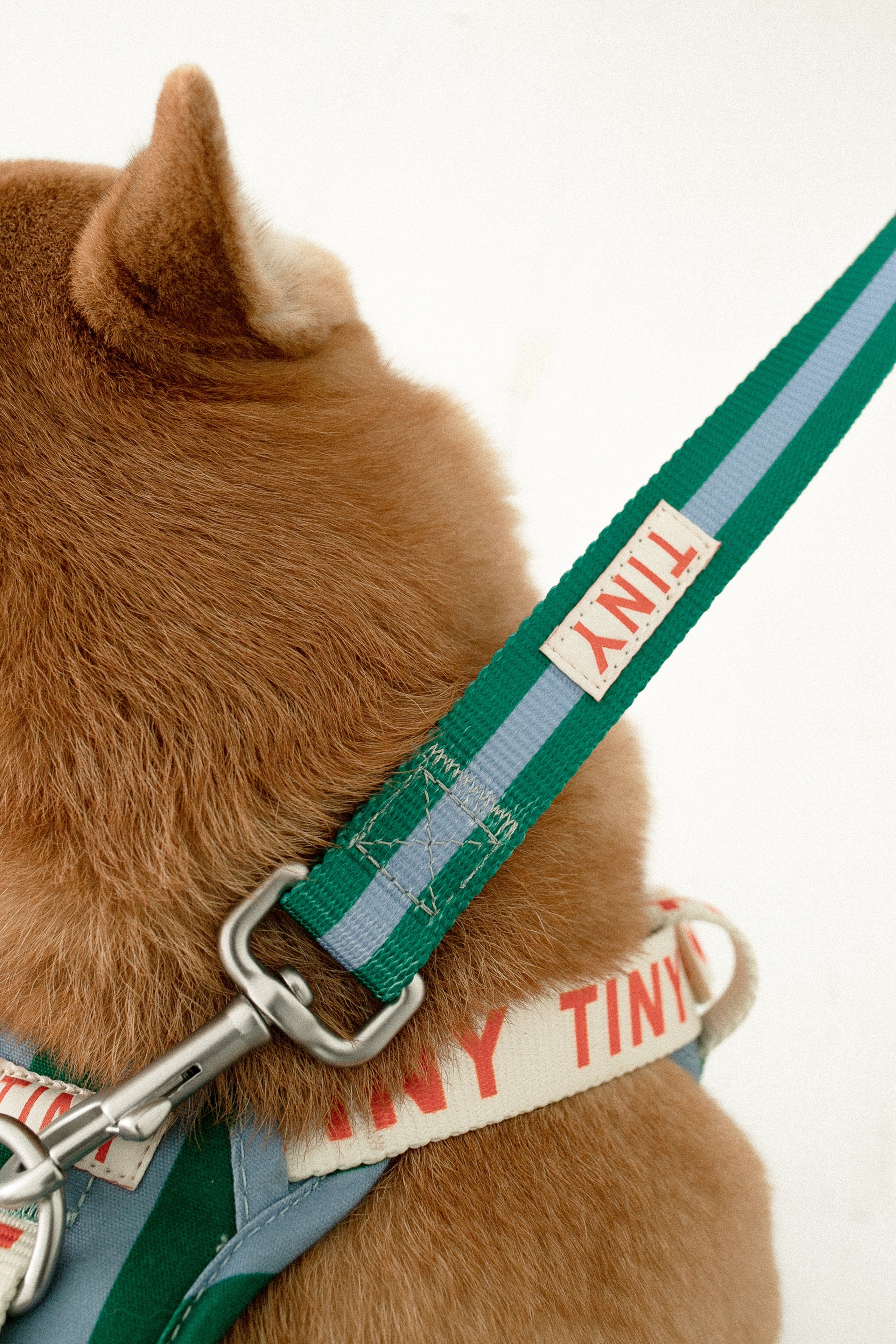 STRIPES DOG LEASH