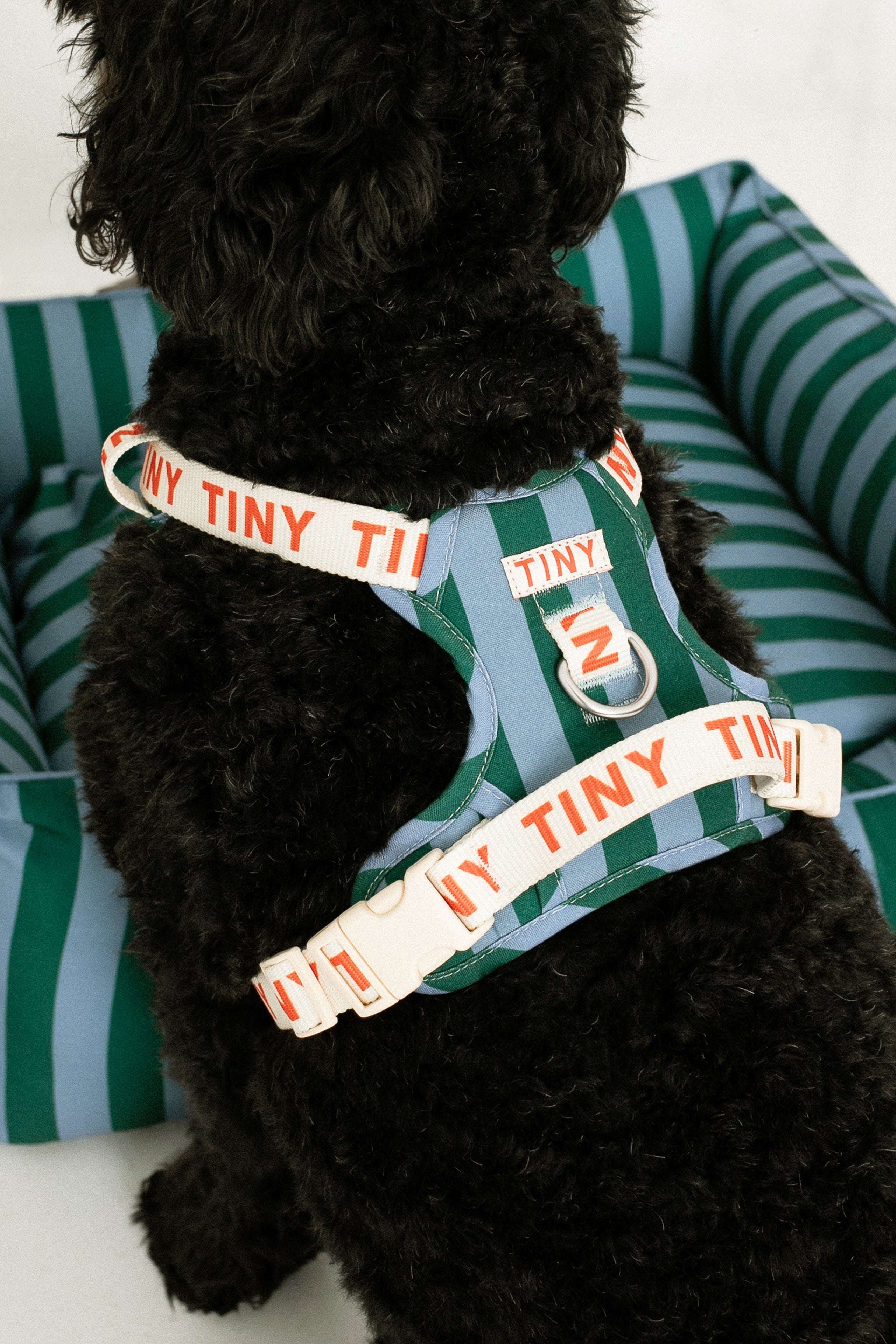 STRIPES HARNESS