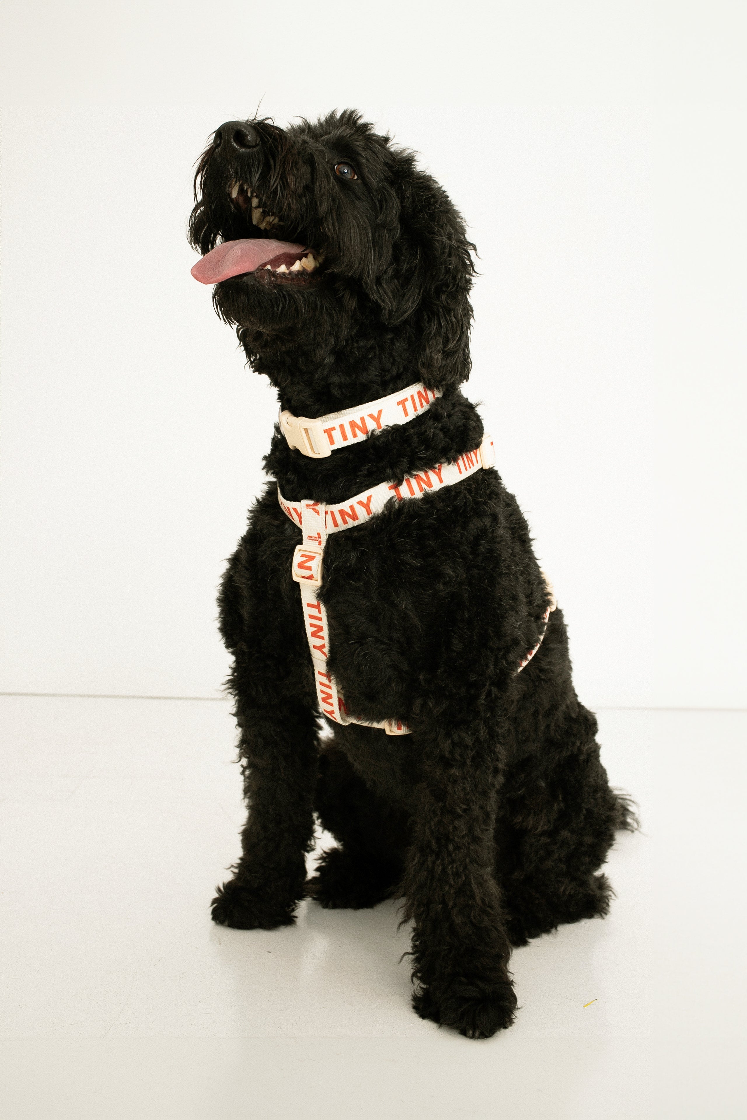 TINY HARNESS