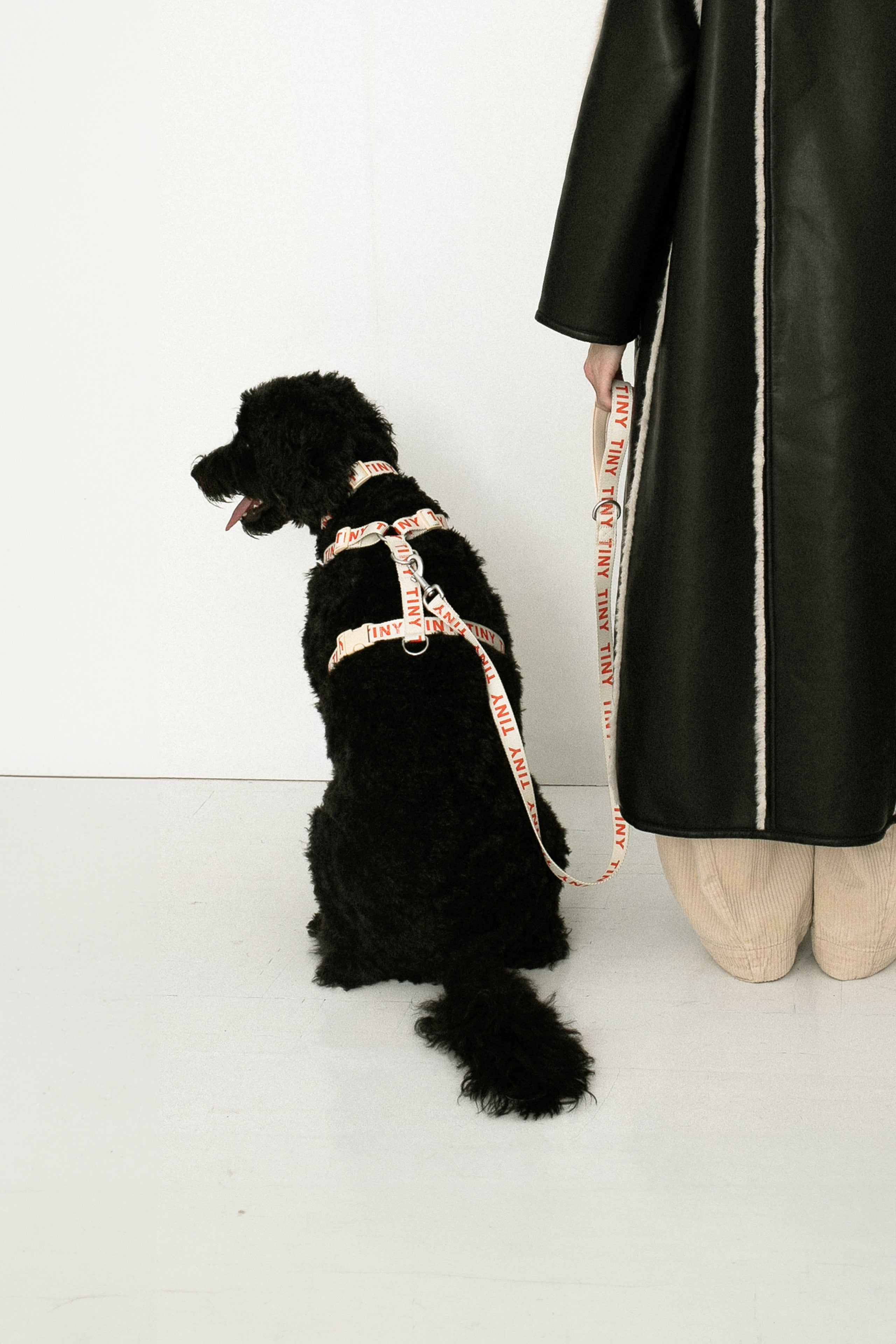 TINY HARNESS