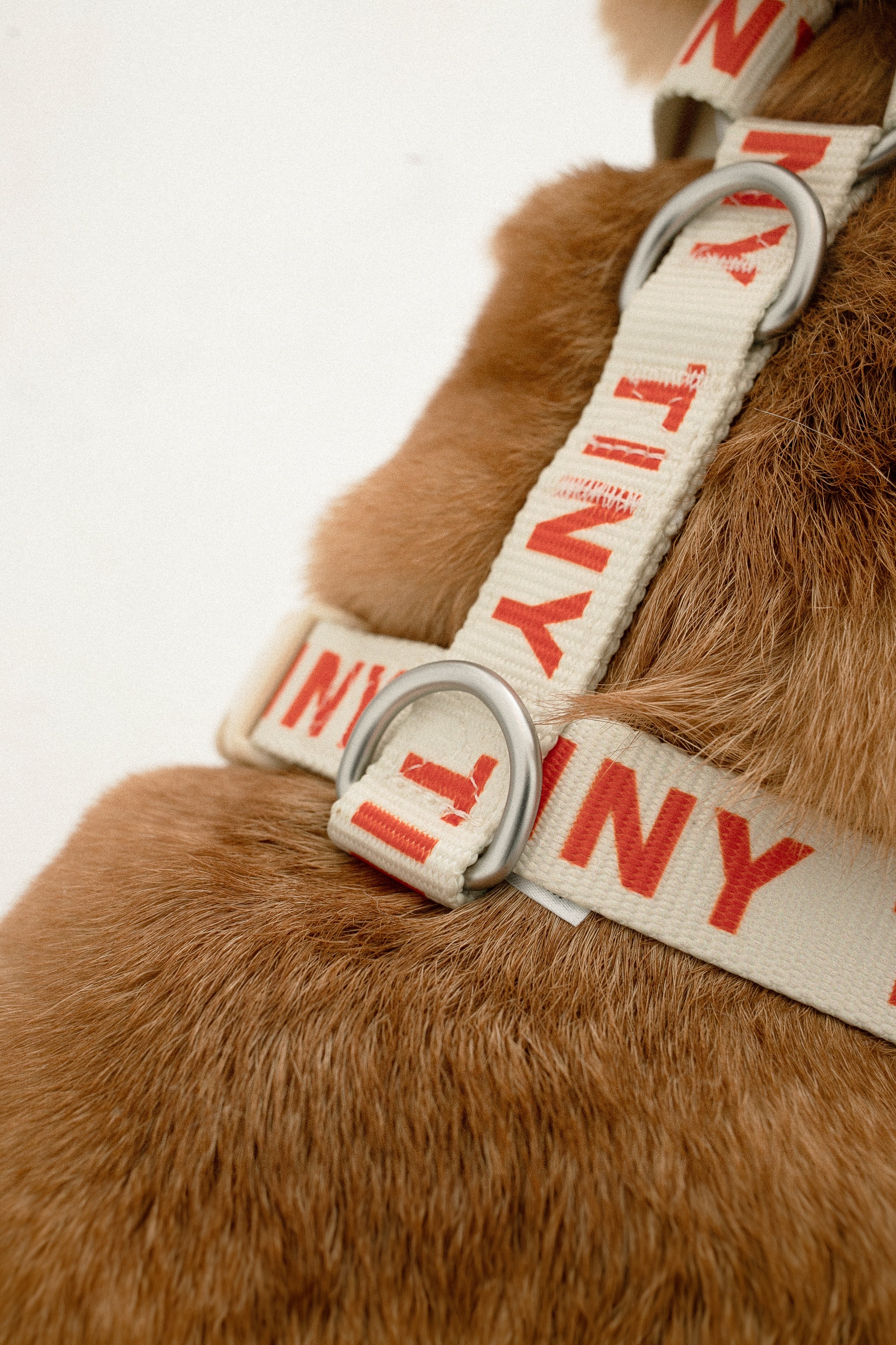 TINY HARNESS