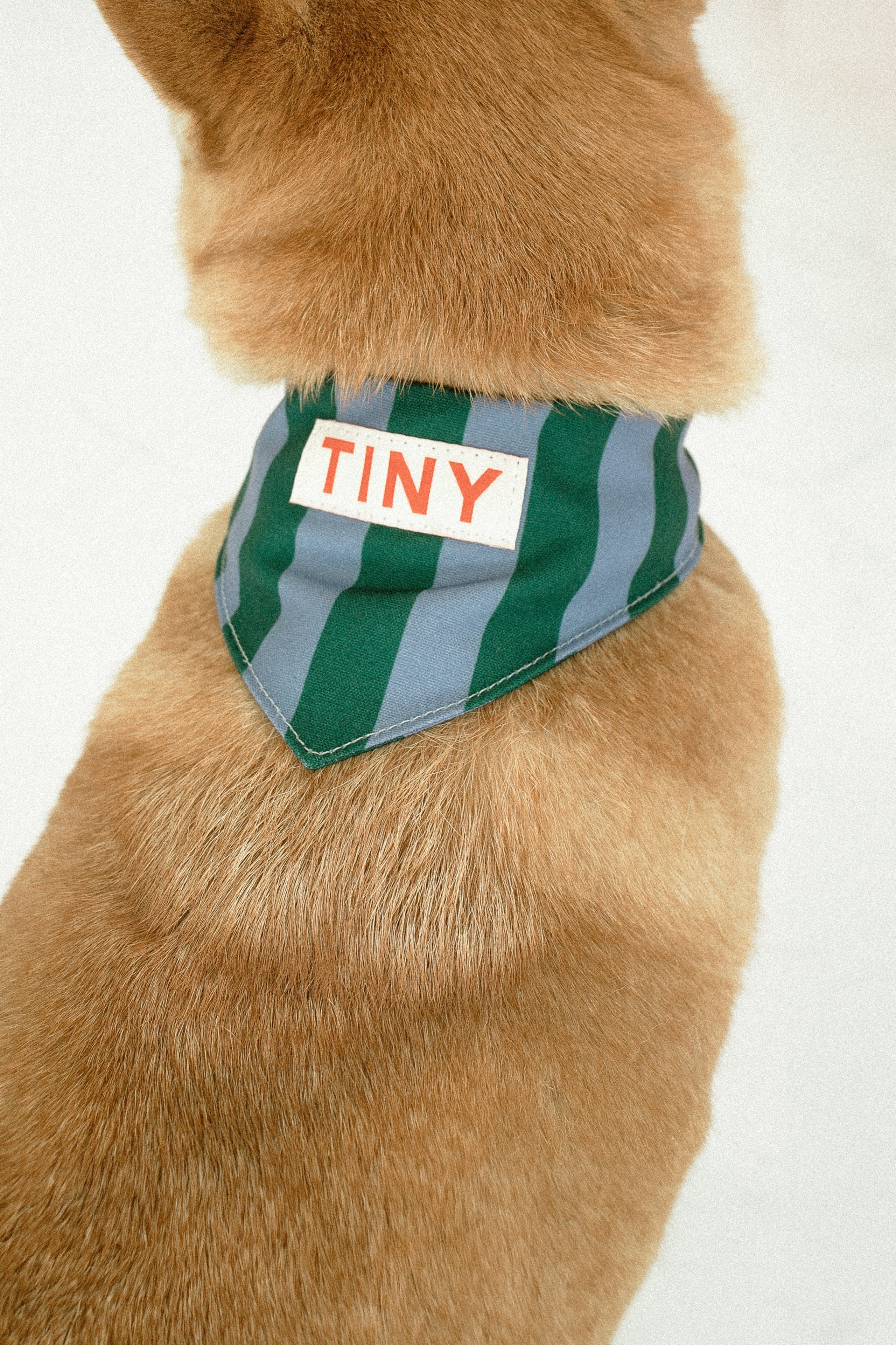 STRIPES BANDANA
