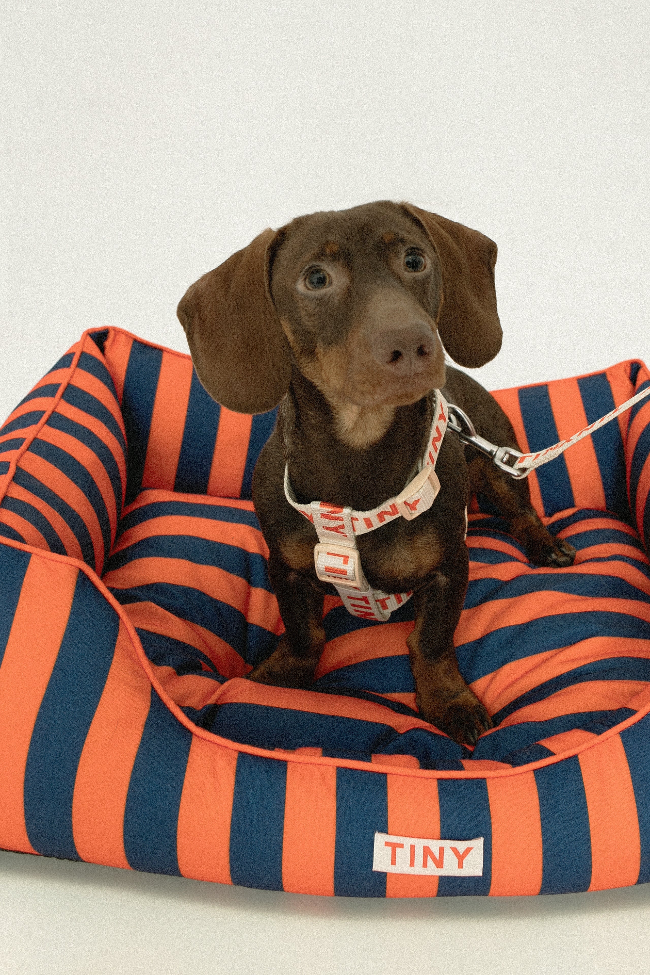STRIPES BOLSTER BED