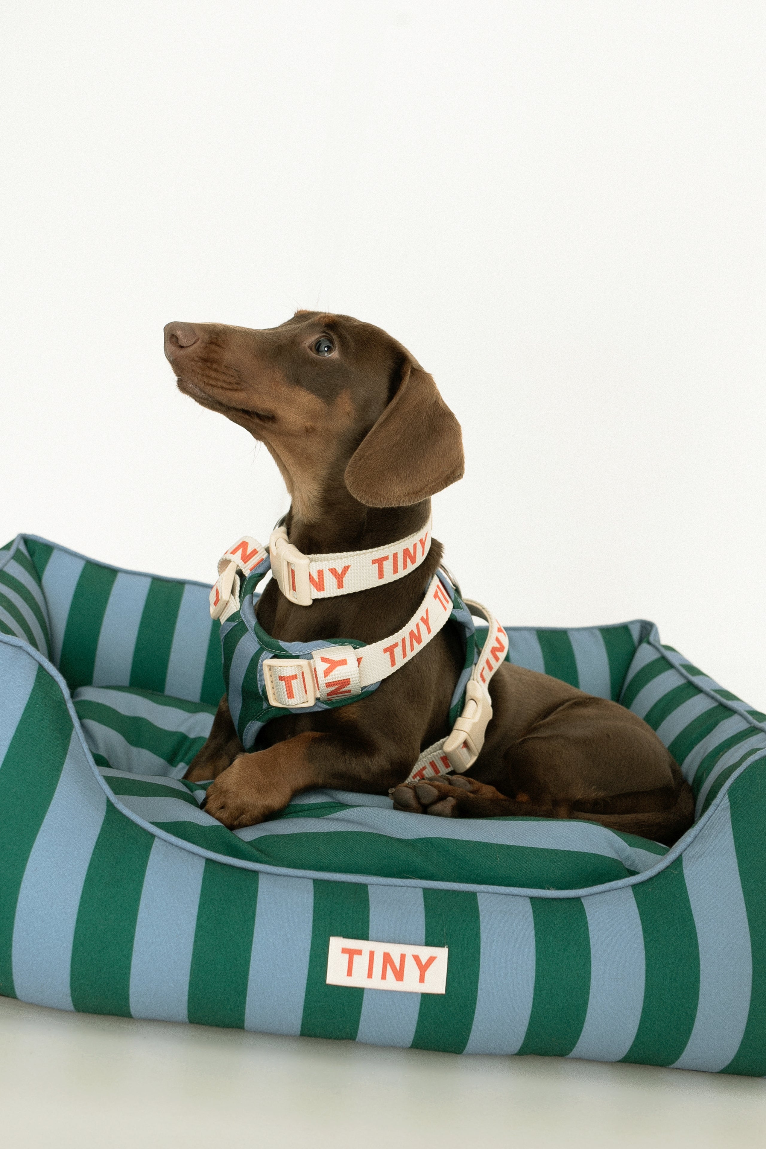 STRIPES BOLSTER BED