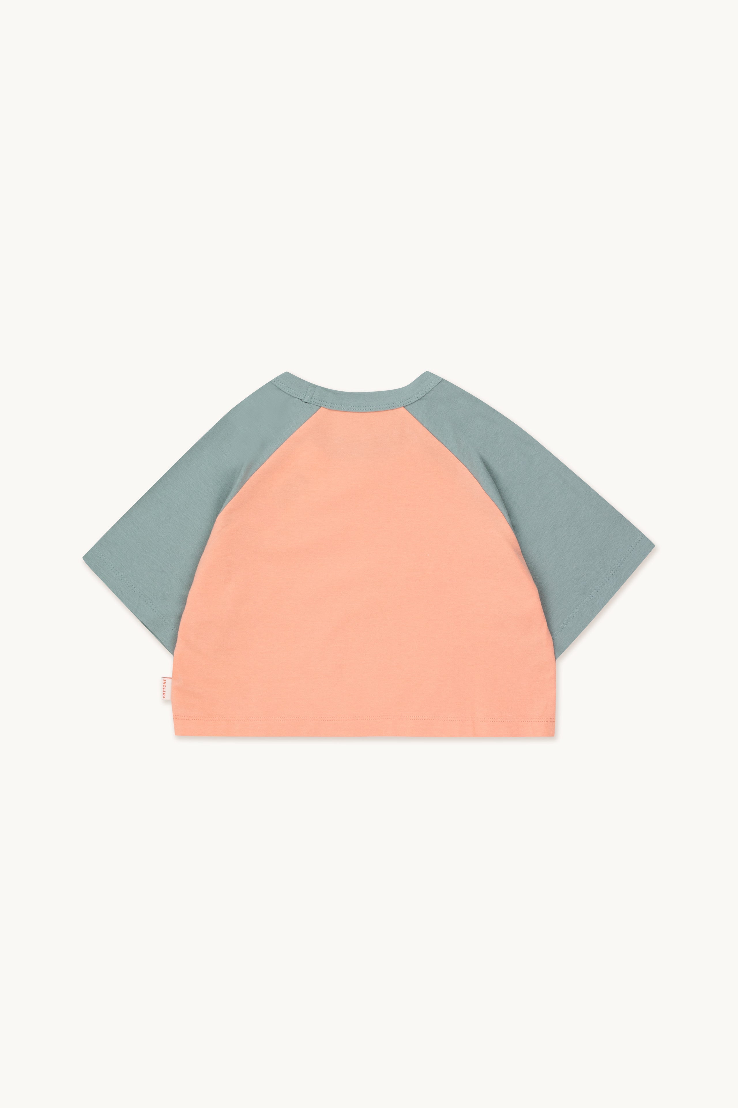STARS CROP TEE