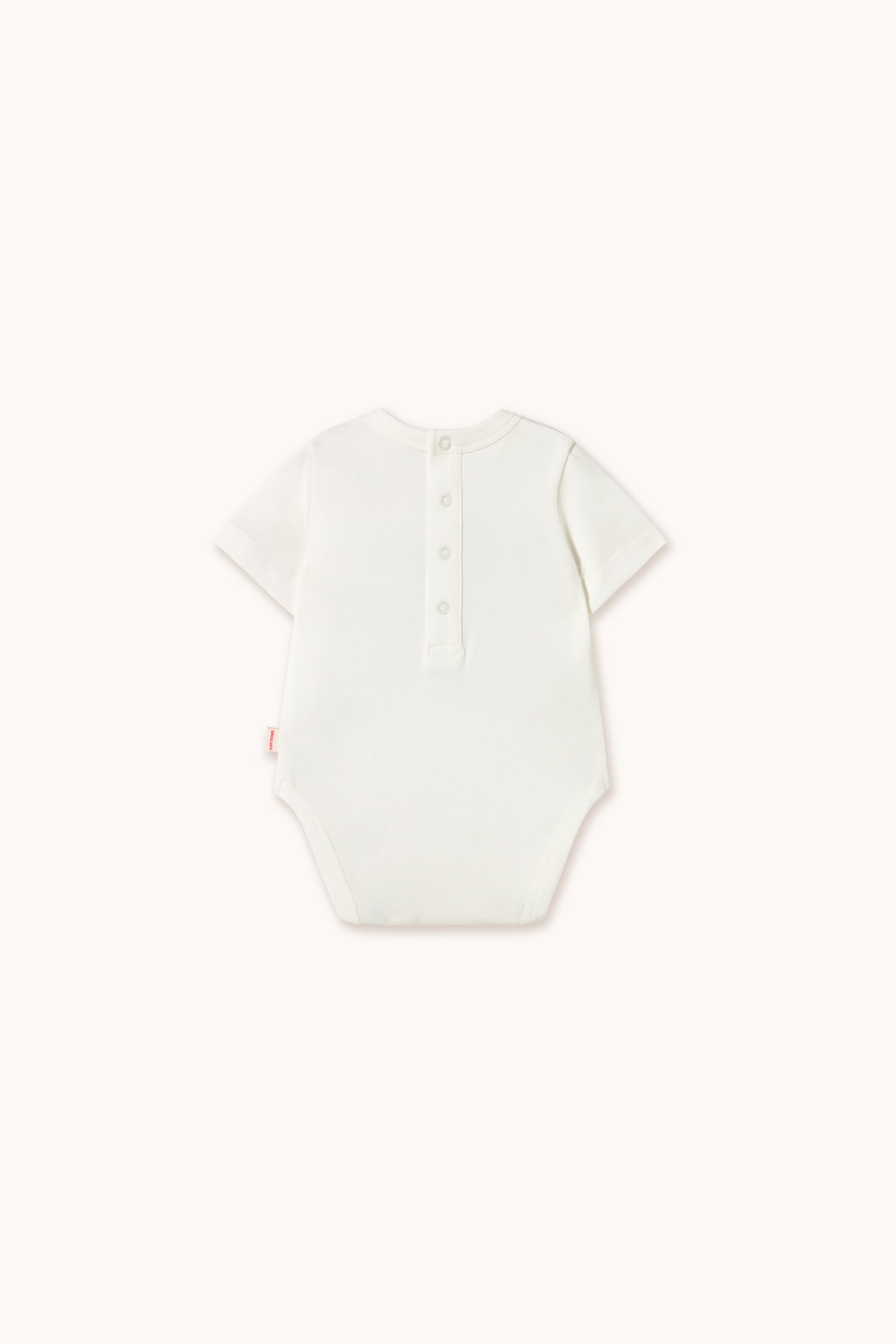 THE SUN GRAPHIC BODY