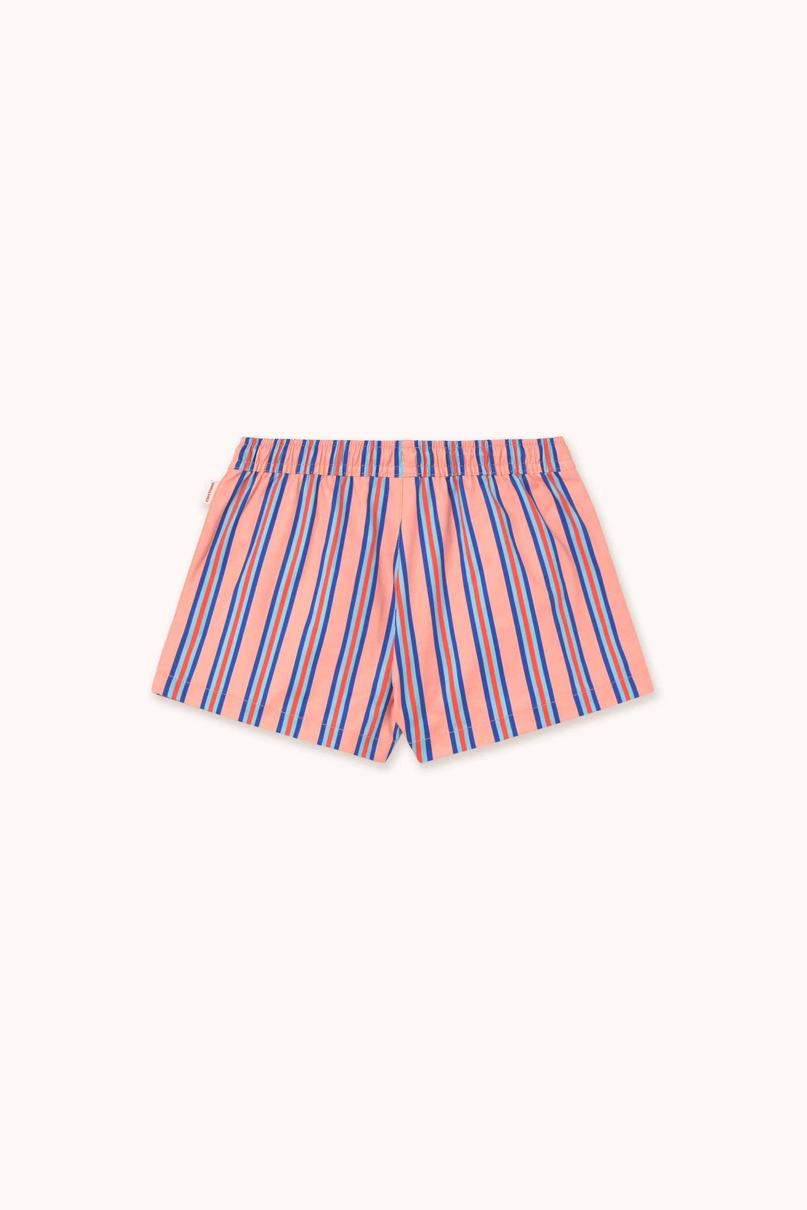 STRIPES TRUNKS