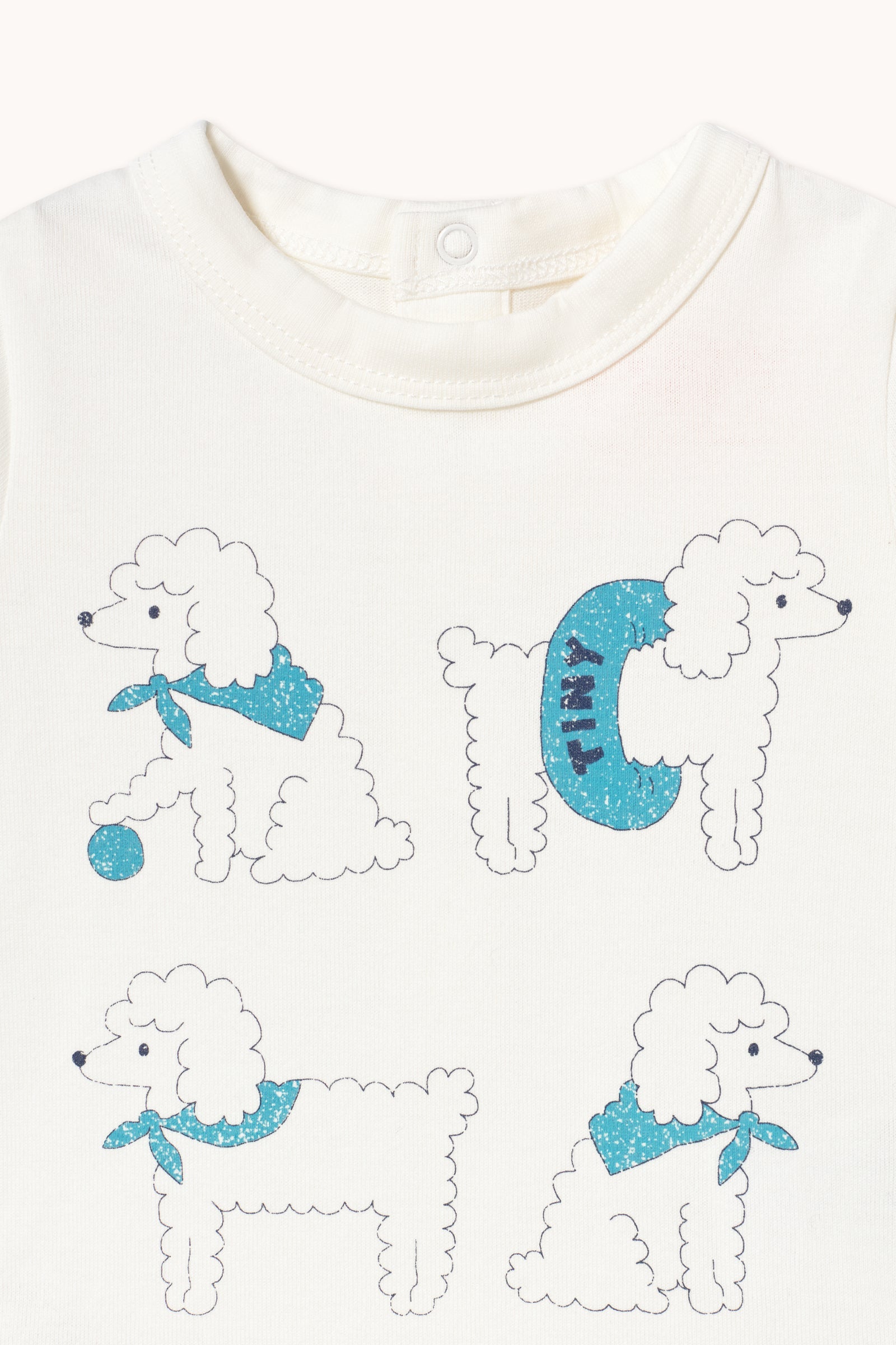 POODLE GRAPHIC BODY