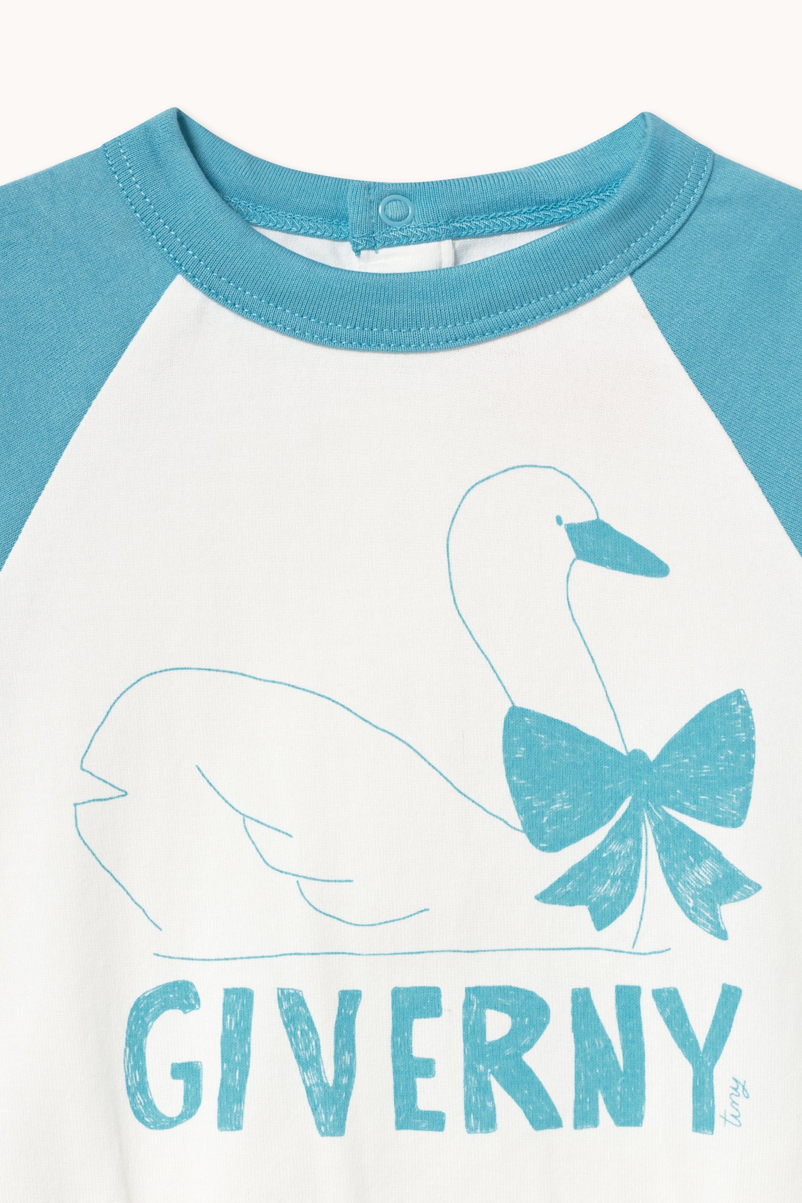 SWAN BODY
