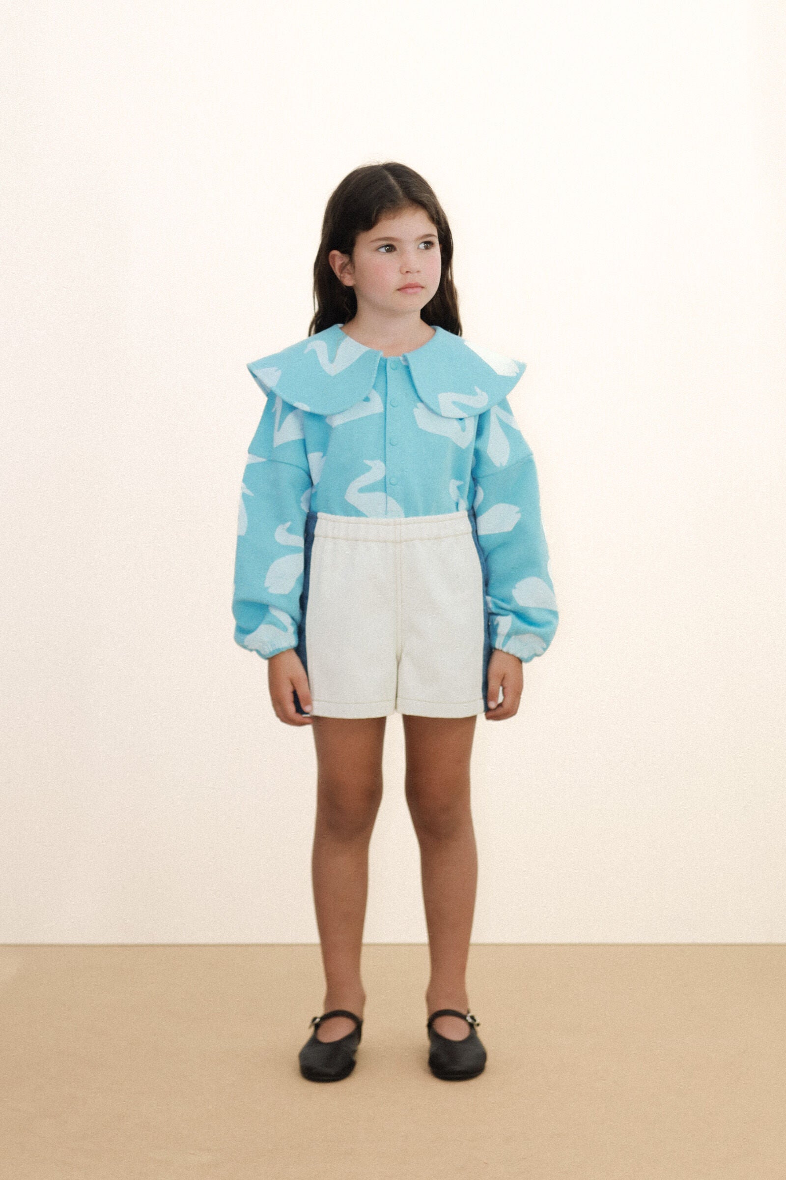 BIG SWANS SWEATSHIRT