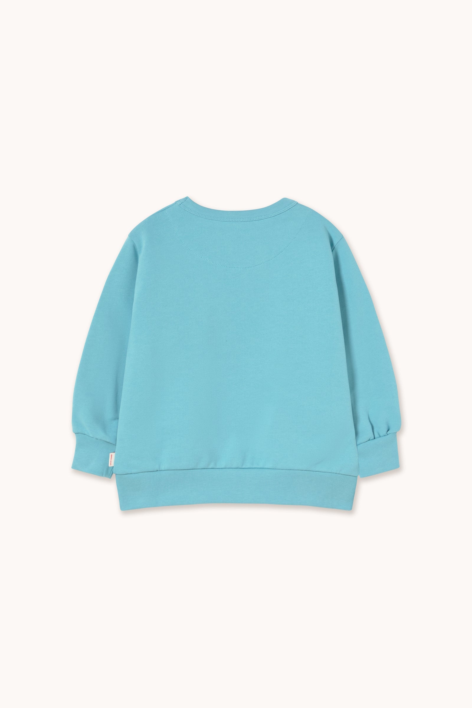 BLUE FLOWERS GRAPHIC SWEATSHIRT