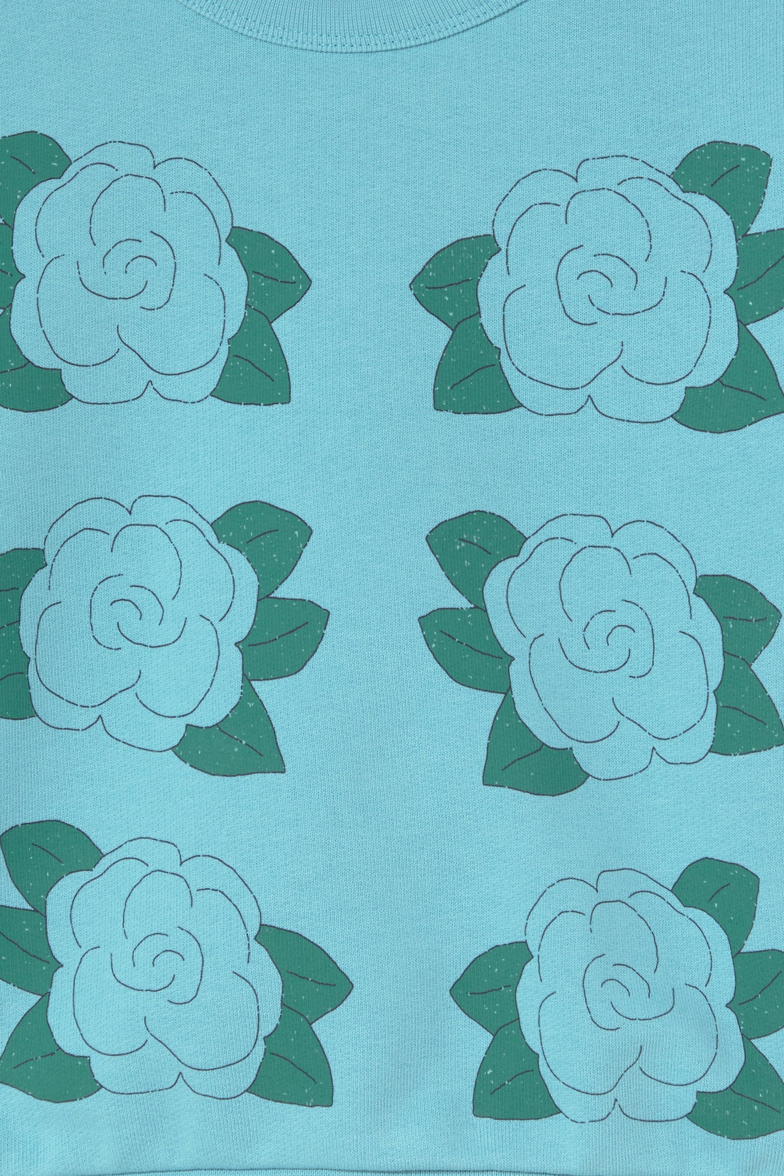 BLUE FLOWERS GRAPHIC SWEATSHIRT