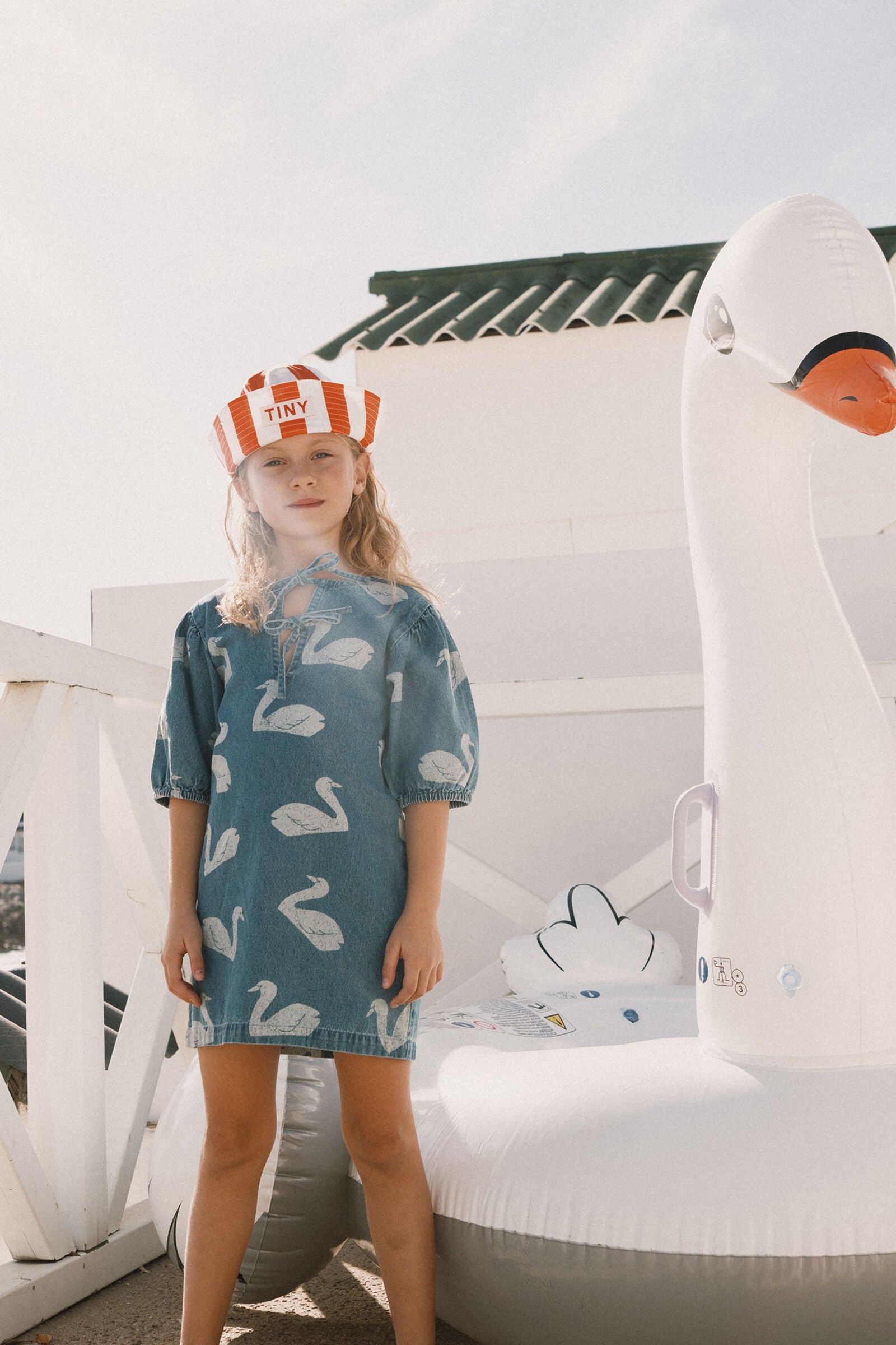 BIG SWANS DRESS