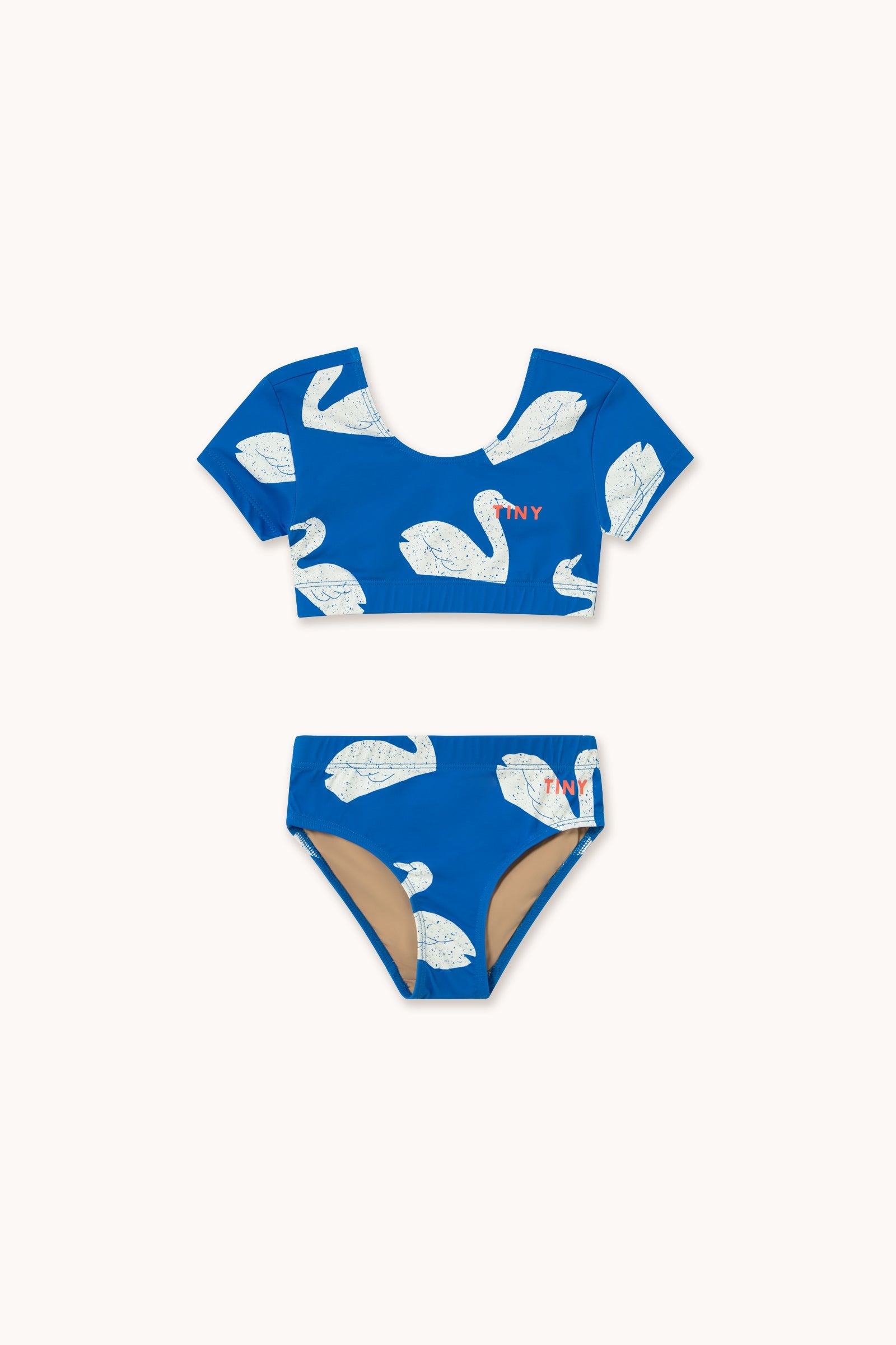 BIG SWANS SWIM SET