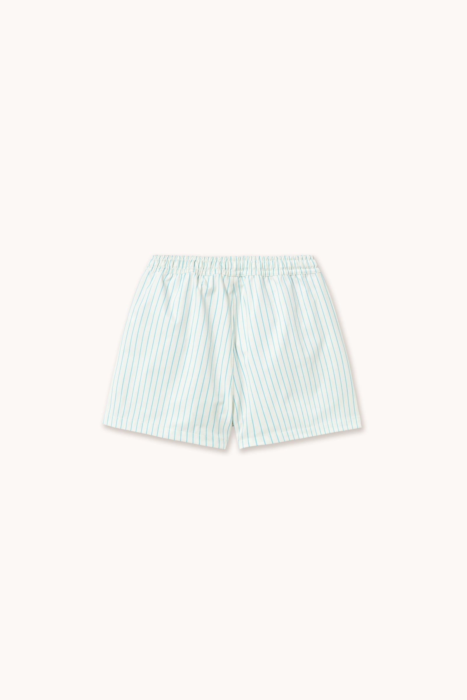 CYAN FINE STRIPES TRUNKS