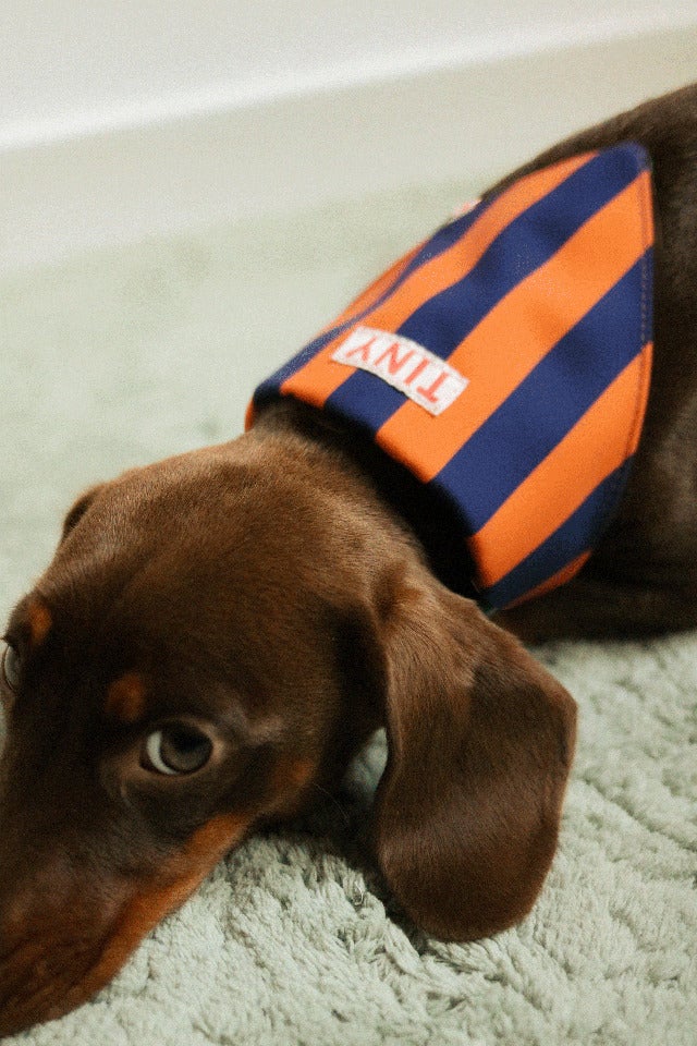 STRIPES BANDANA