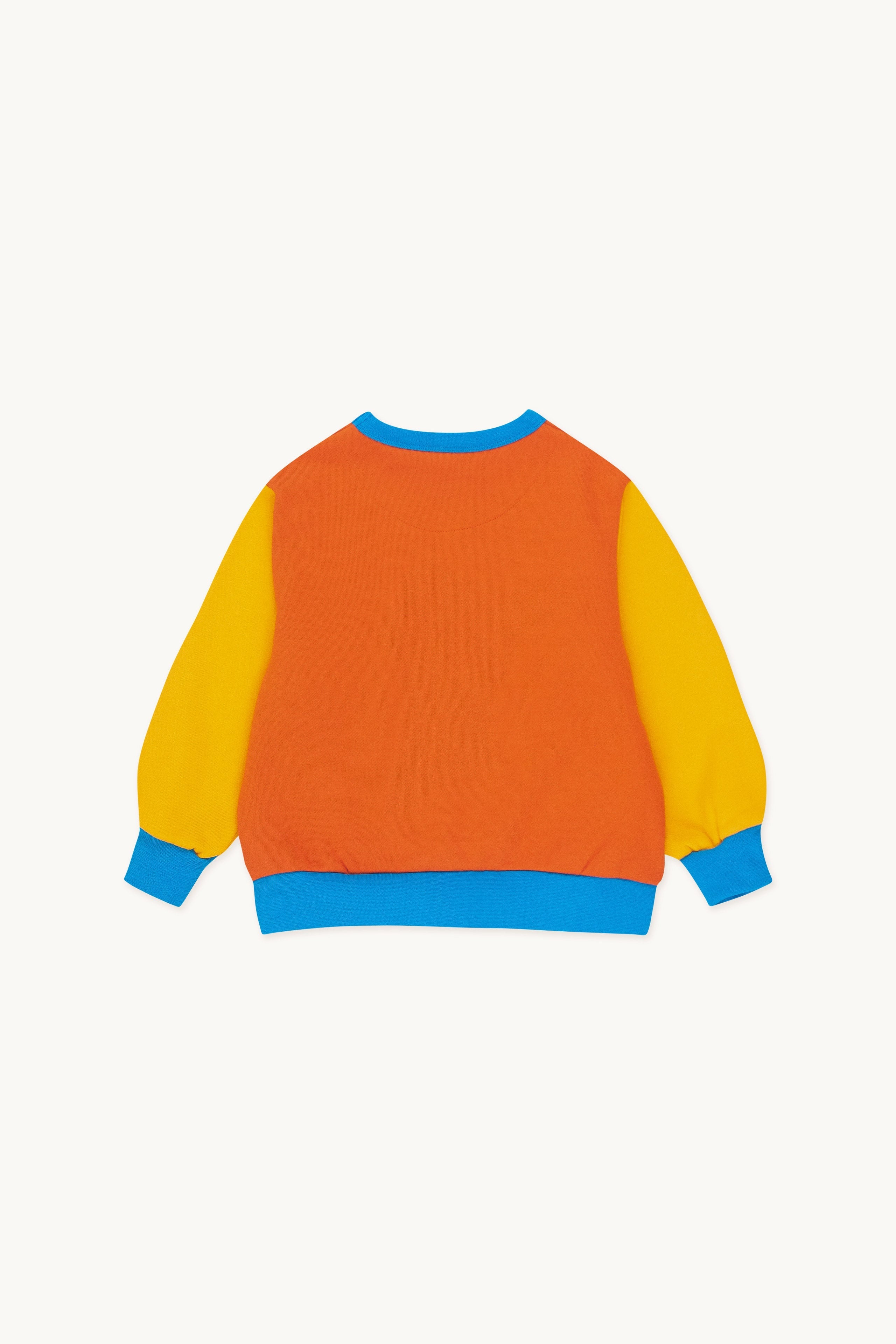 COLOR BLOCK SUDADERA