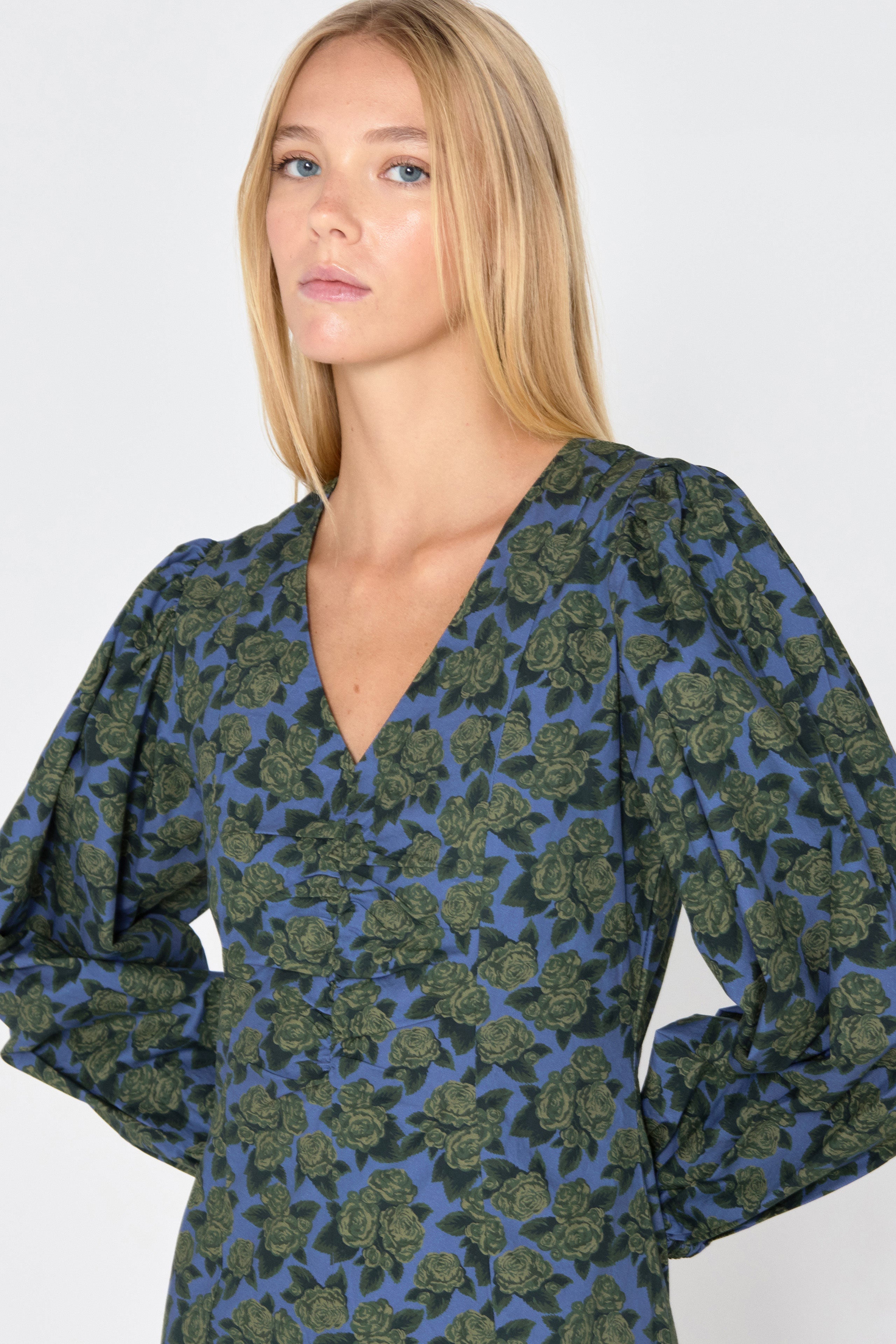 ROSES PUFF SLEEVES DRESS