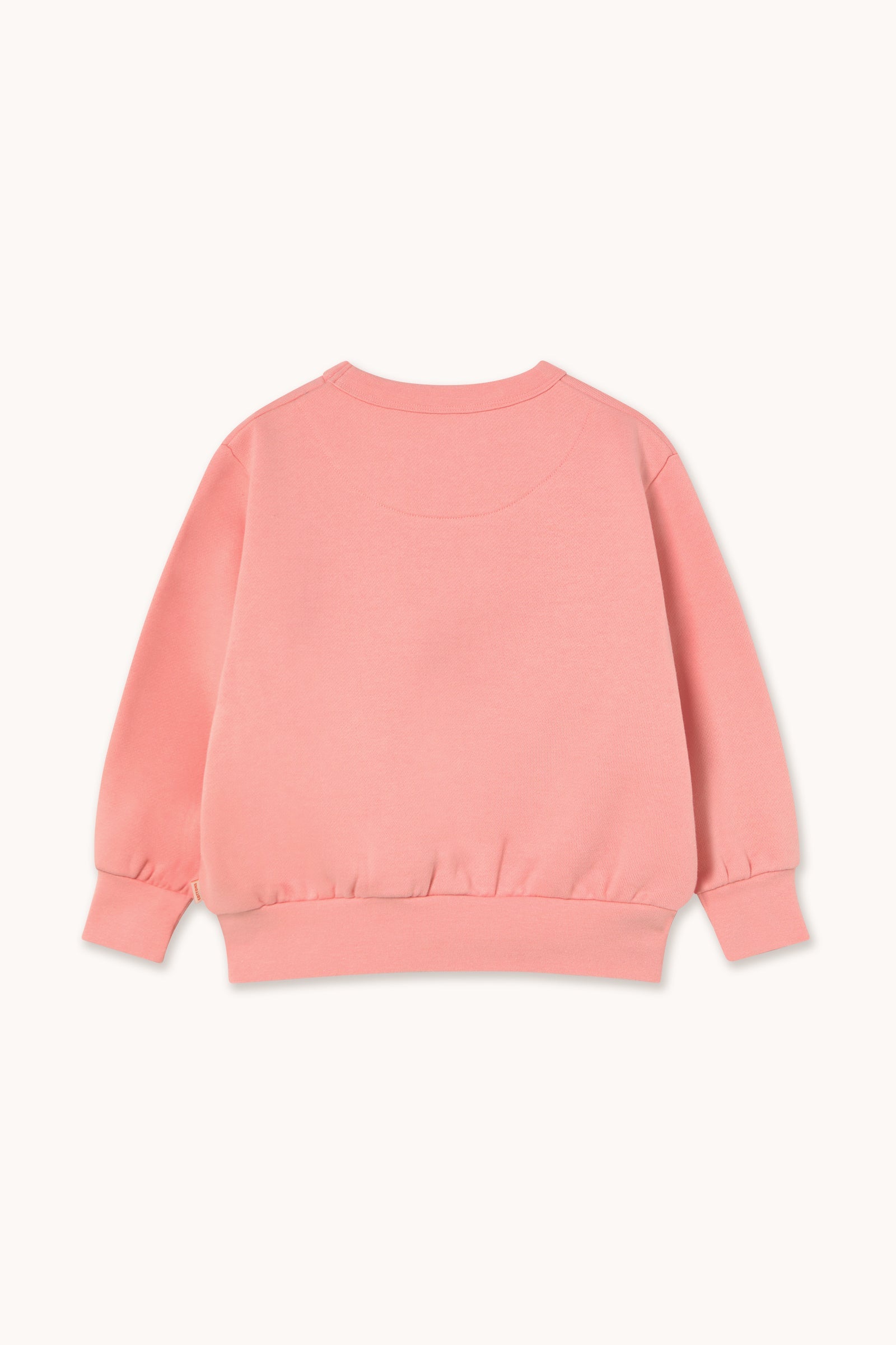 SWEATSHIRT WORM GRAPHIC