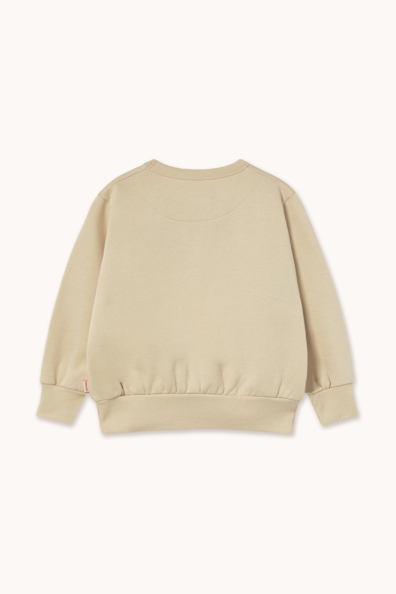 SWEATSHIRT APPLES EYES GRAPHIC