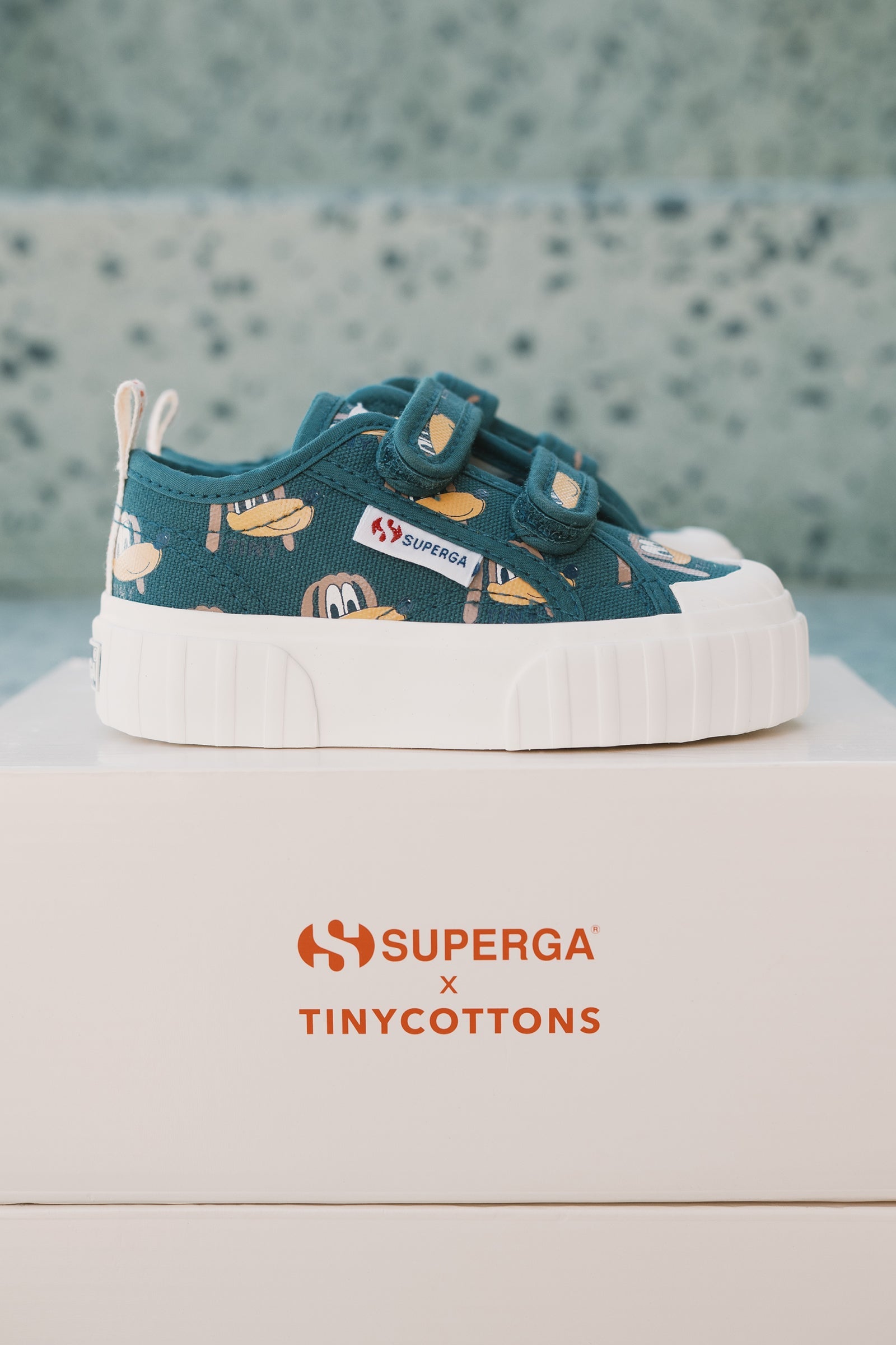 SNEAKERS DOGS