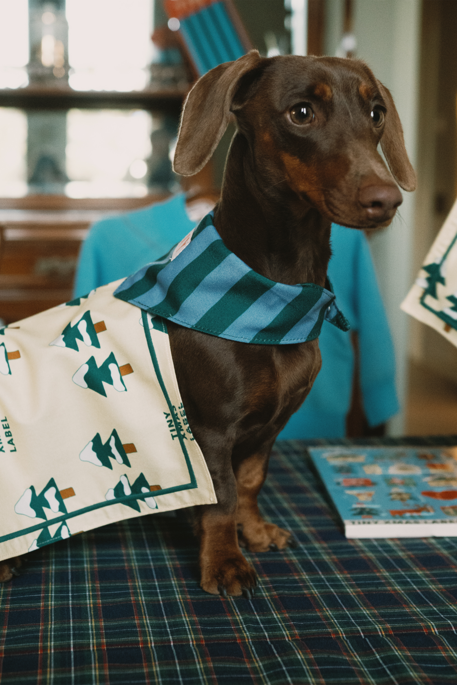 SET TREES NAPKINS
