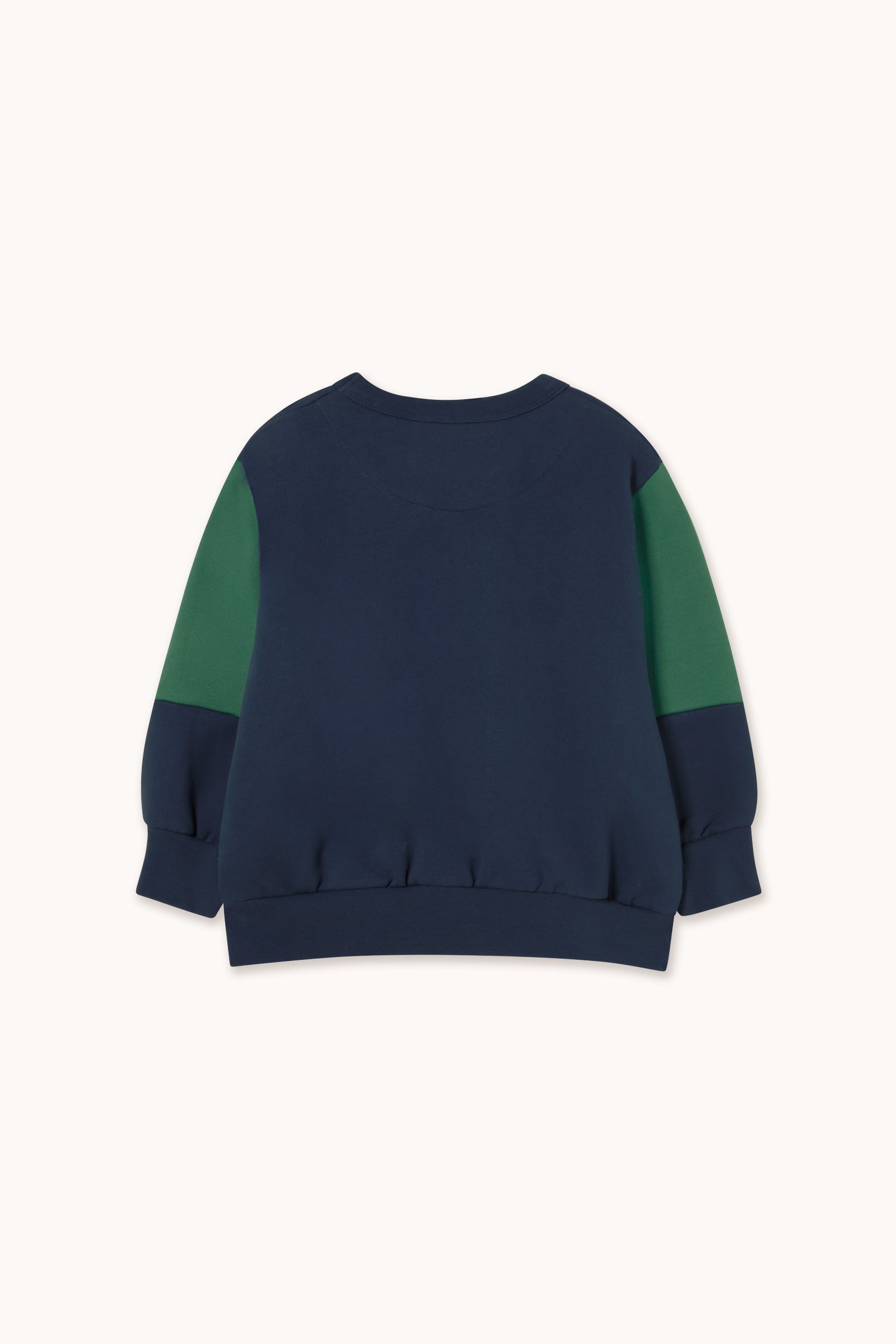 TINY COLOR BLOCK SWEATSHIRT