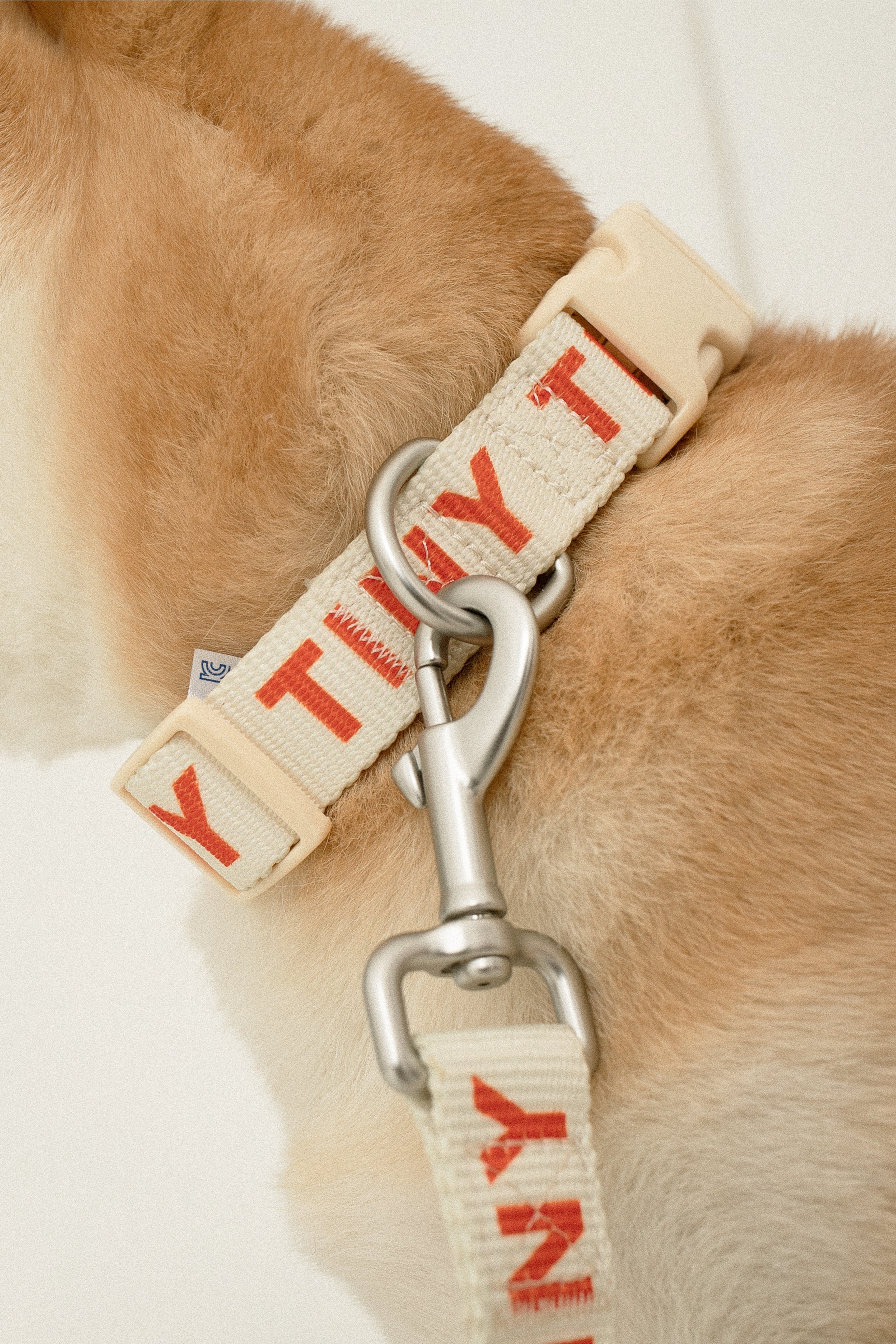 TINY ADJUSTABLE COLLAR