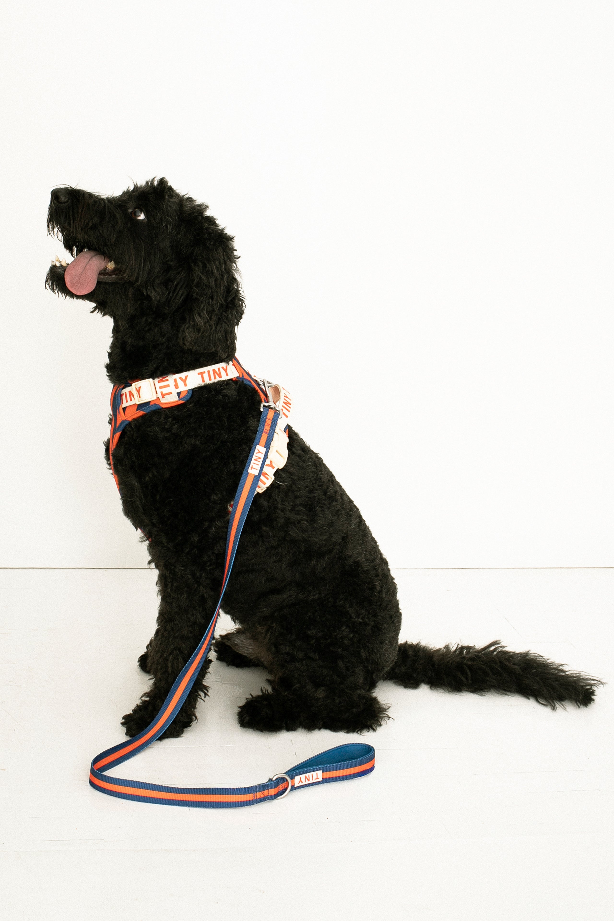 STRIPES DOG LEASH