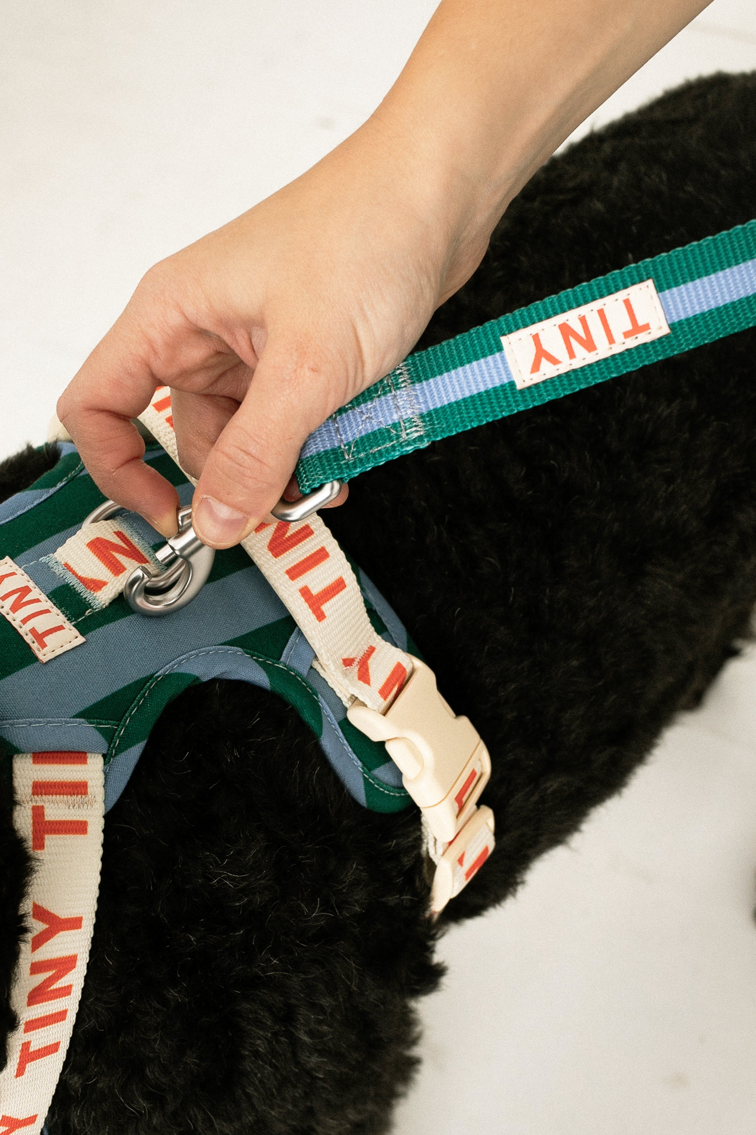 STRIPES DOG LEASH