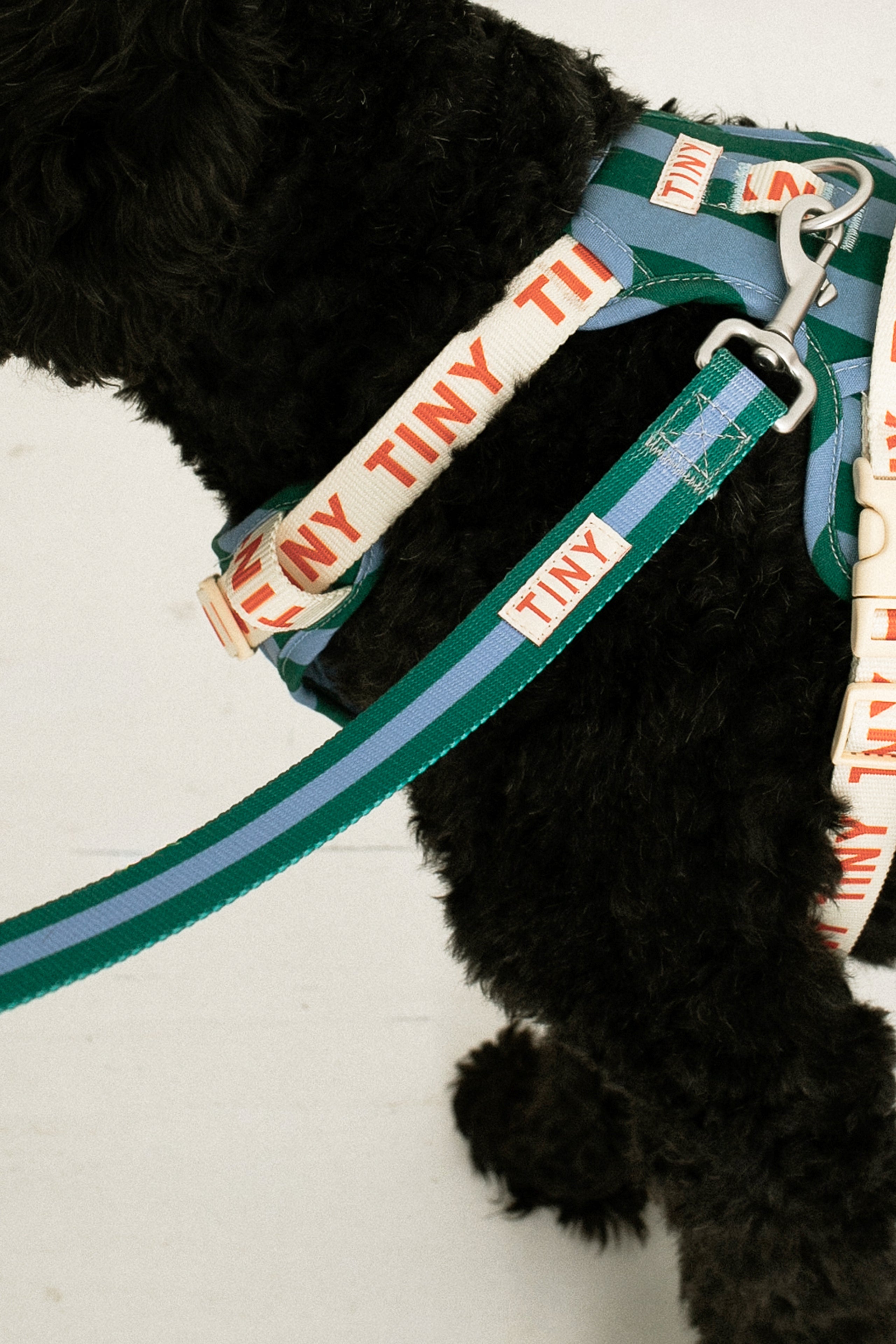 STRIPES DOG LEASH