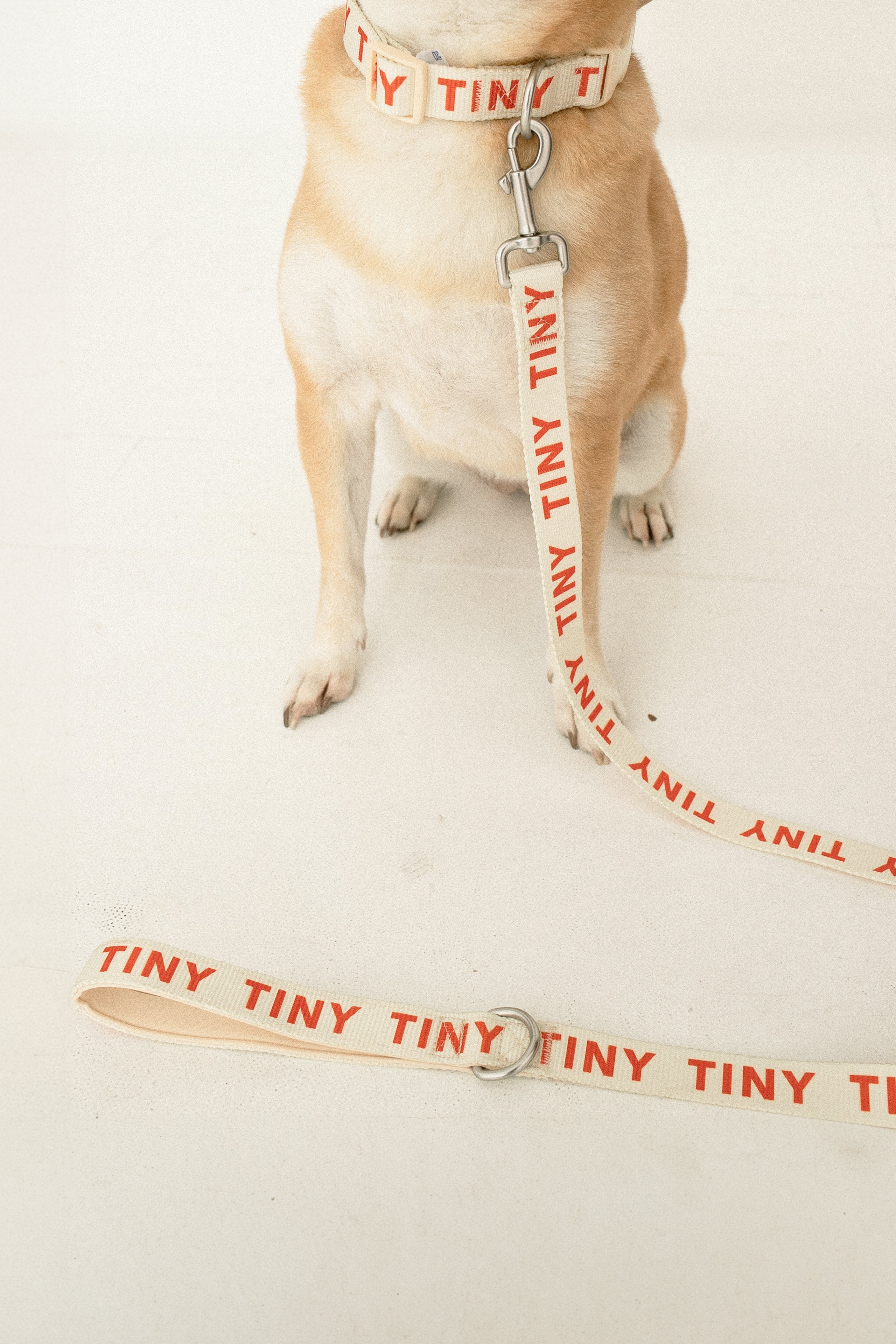 TINY DOG LEASH