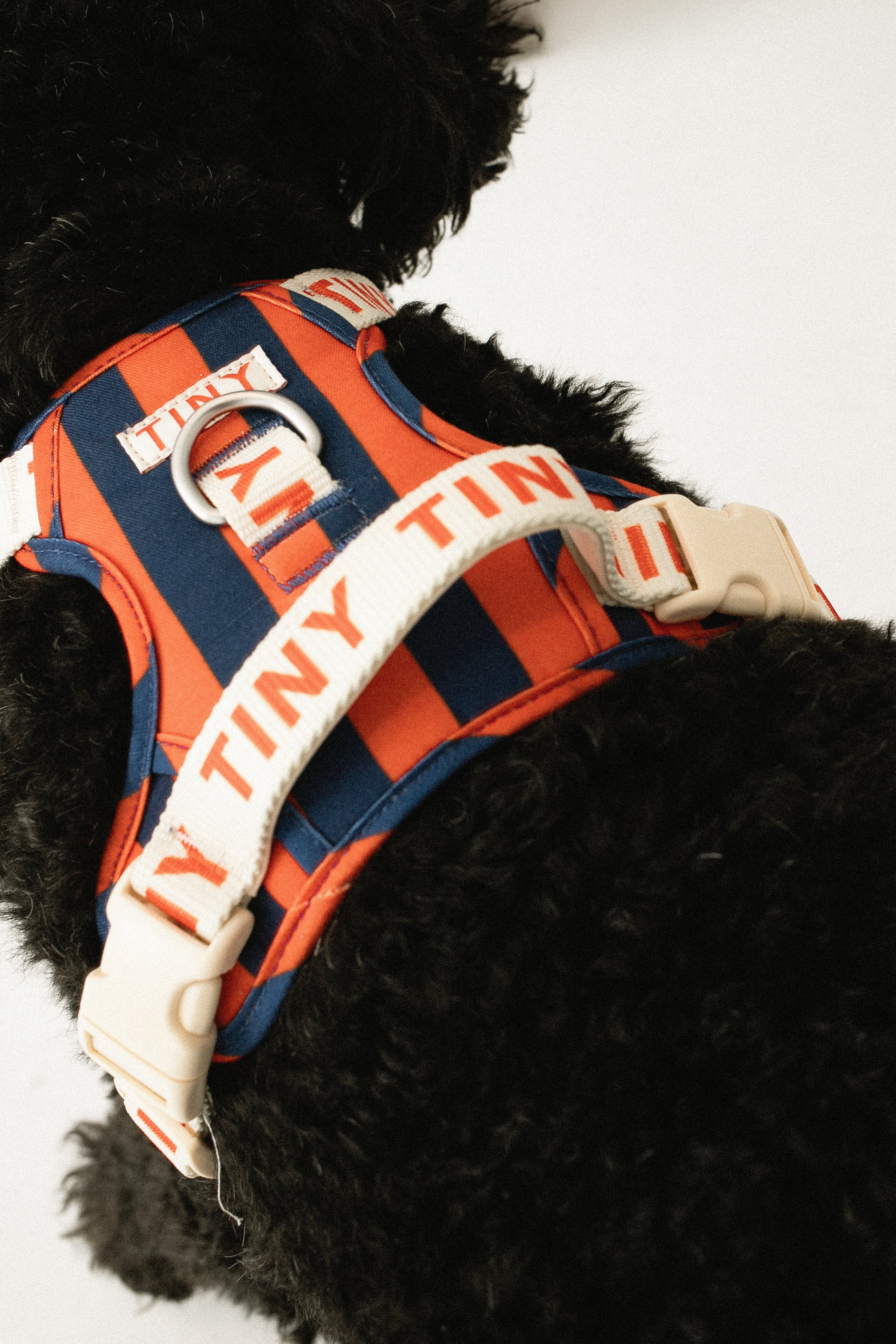 STRIPES HARNESS