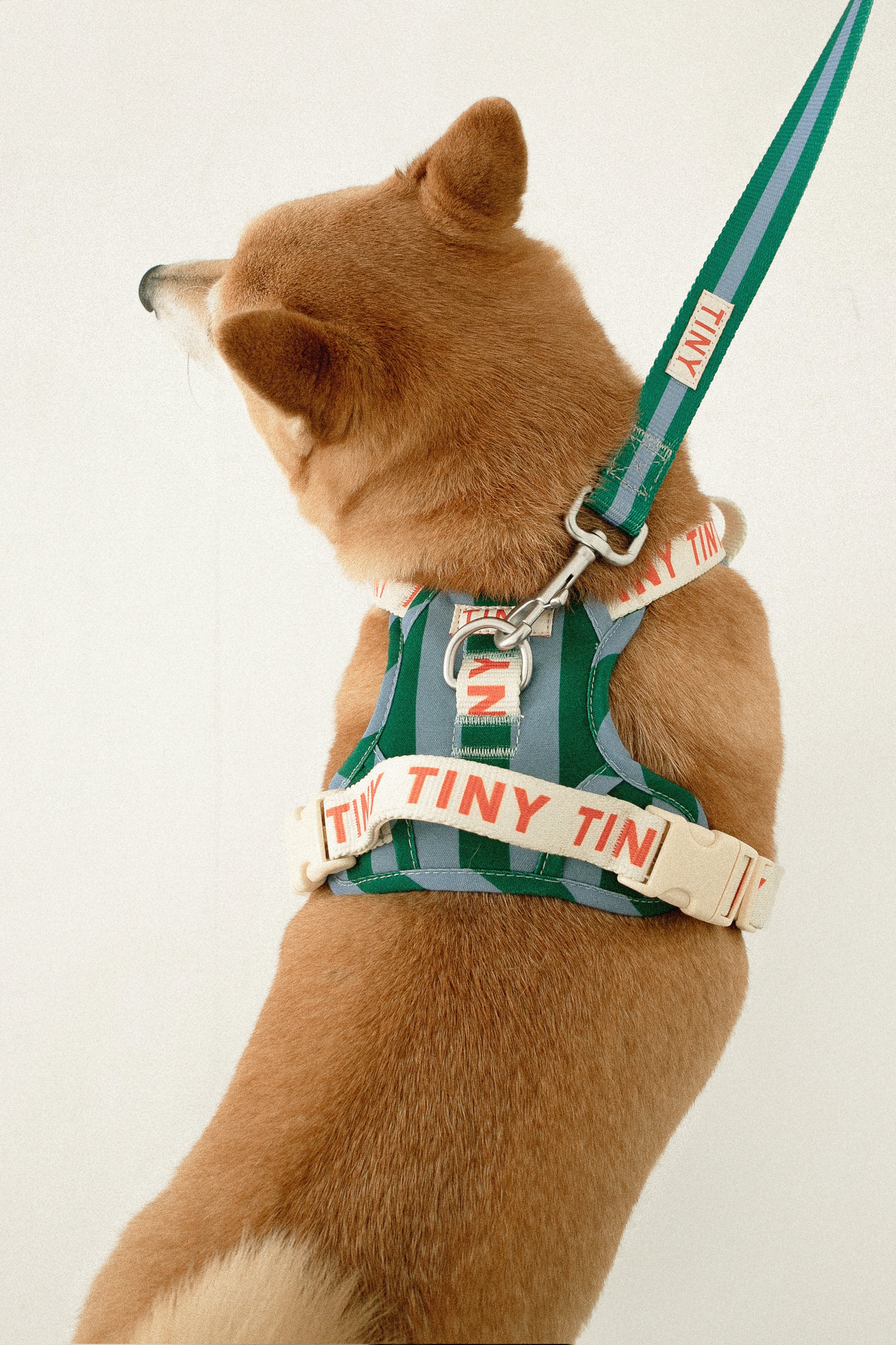 STRIPES HARNESS
