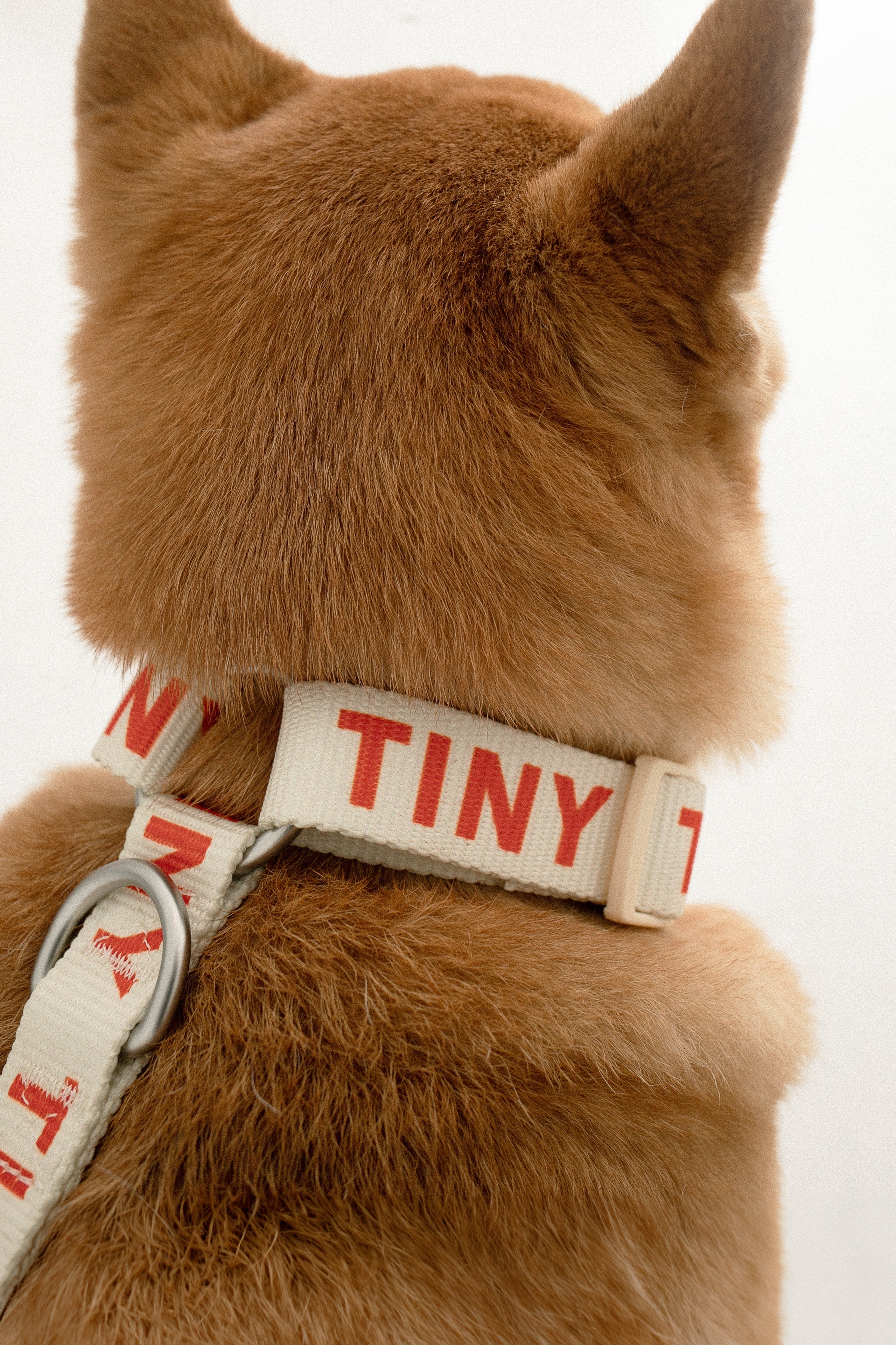 TINY HARNESS