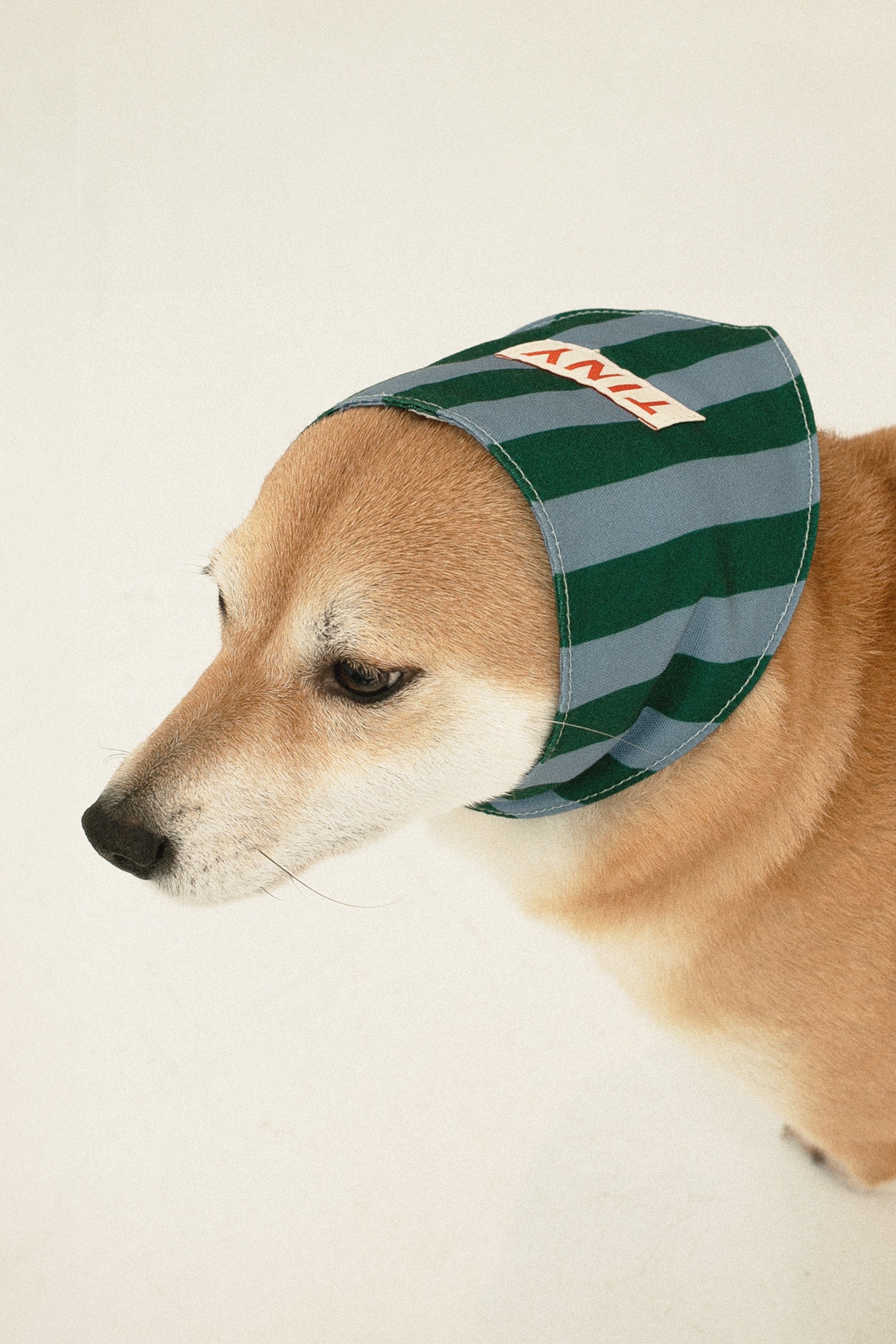 STRIPES BANDANA