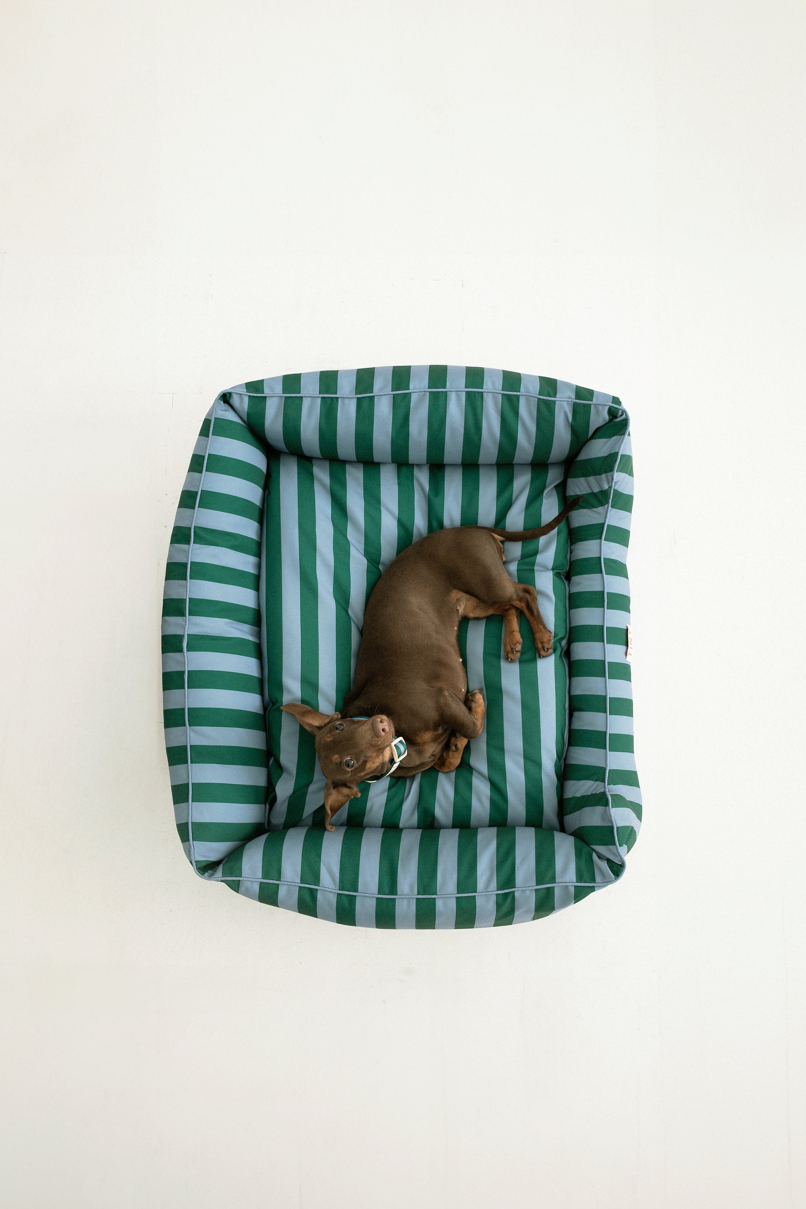 STRIPES BOLSTER BED