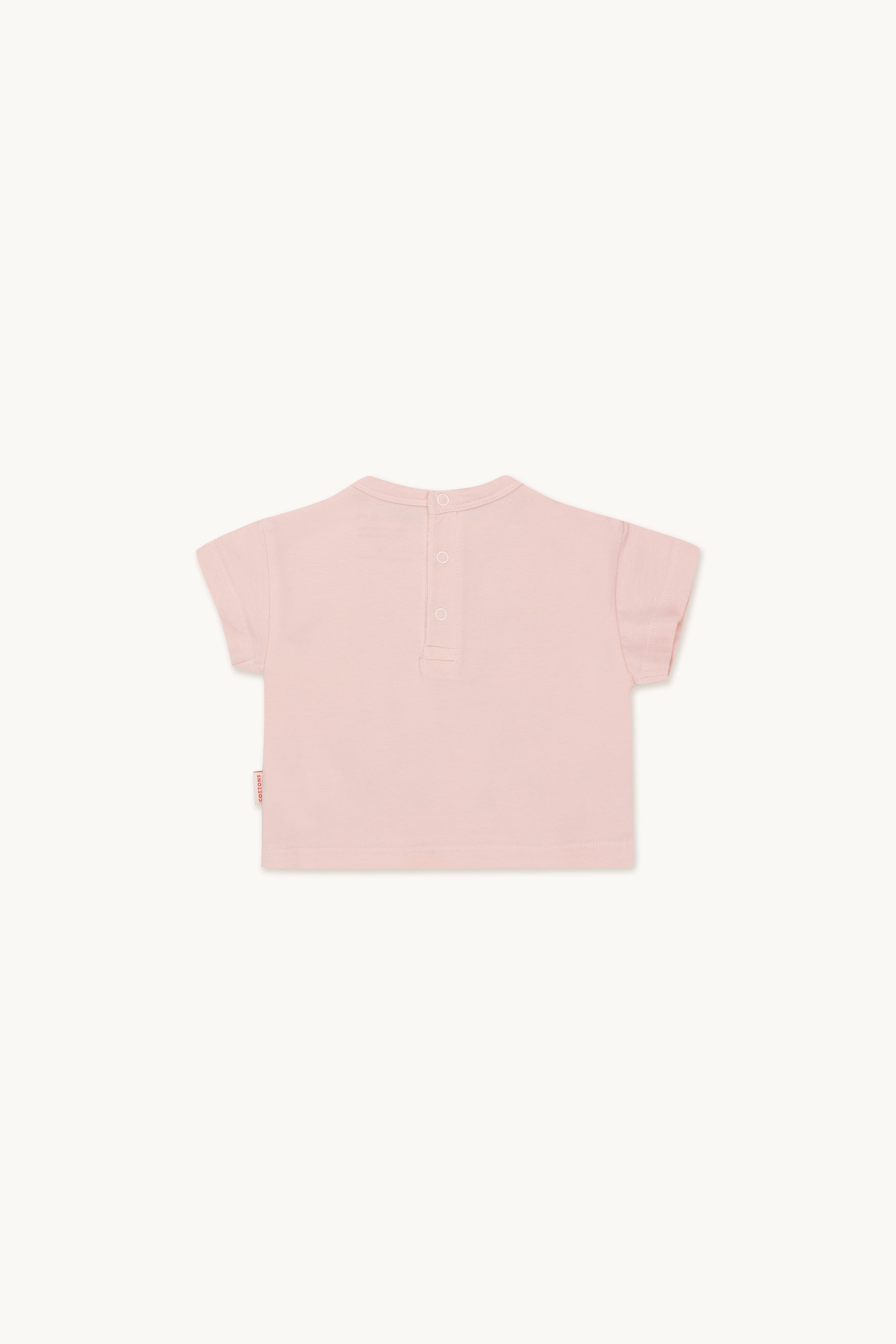FLAMINGOS BABY TEE