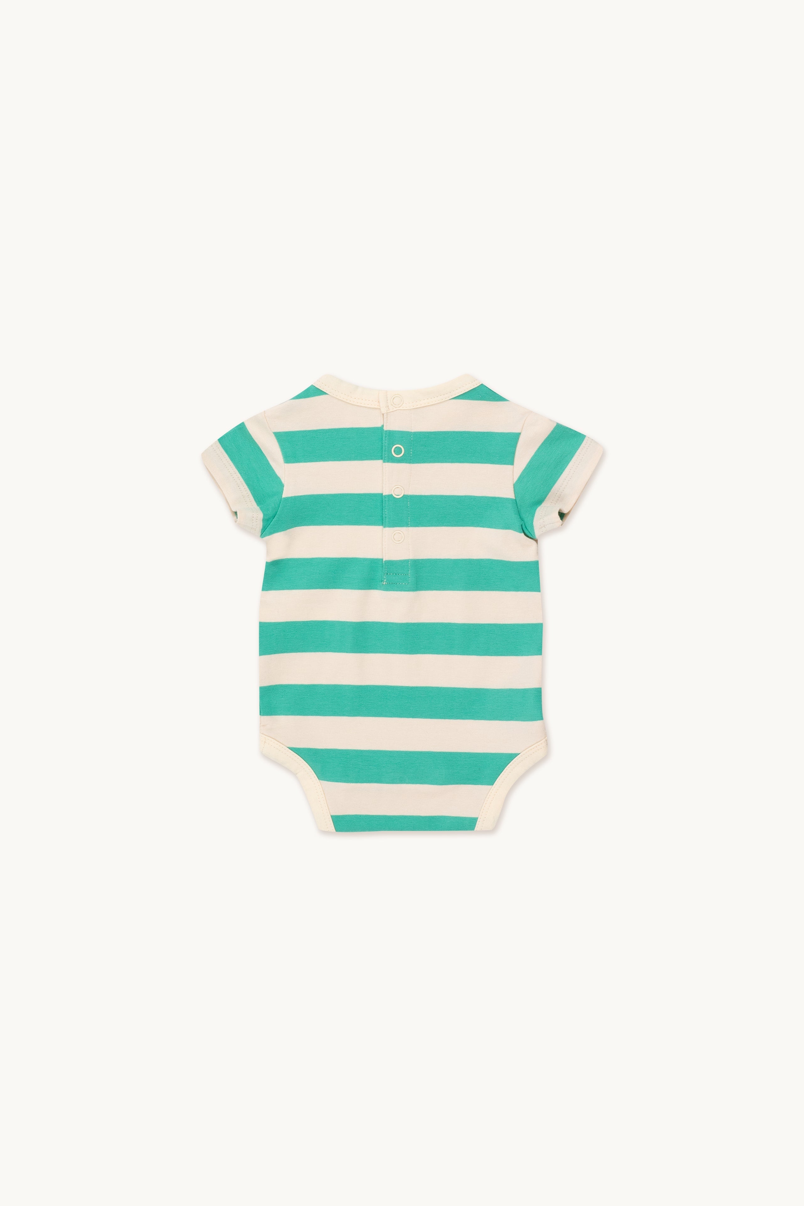 STRIPES ボディ