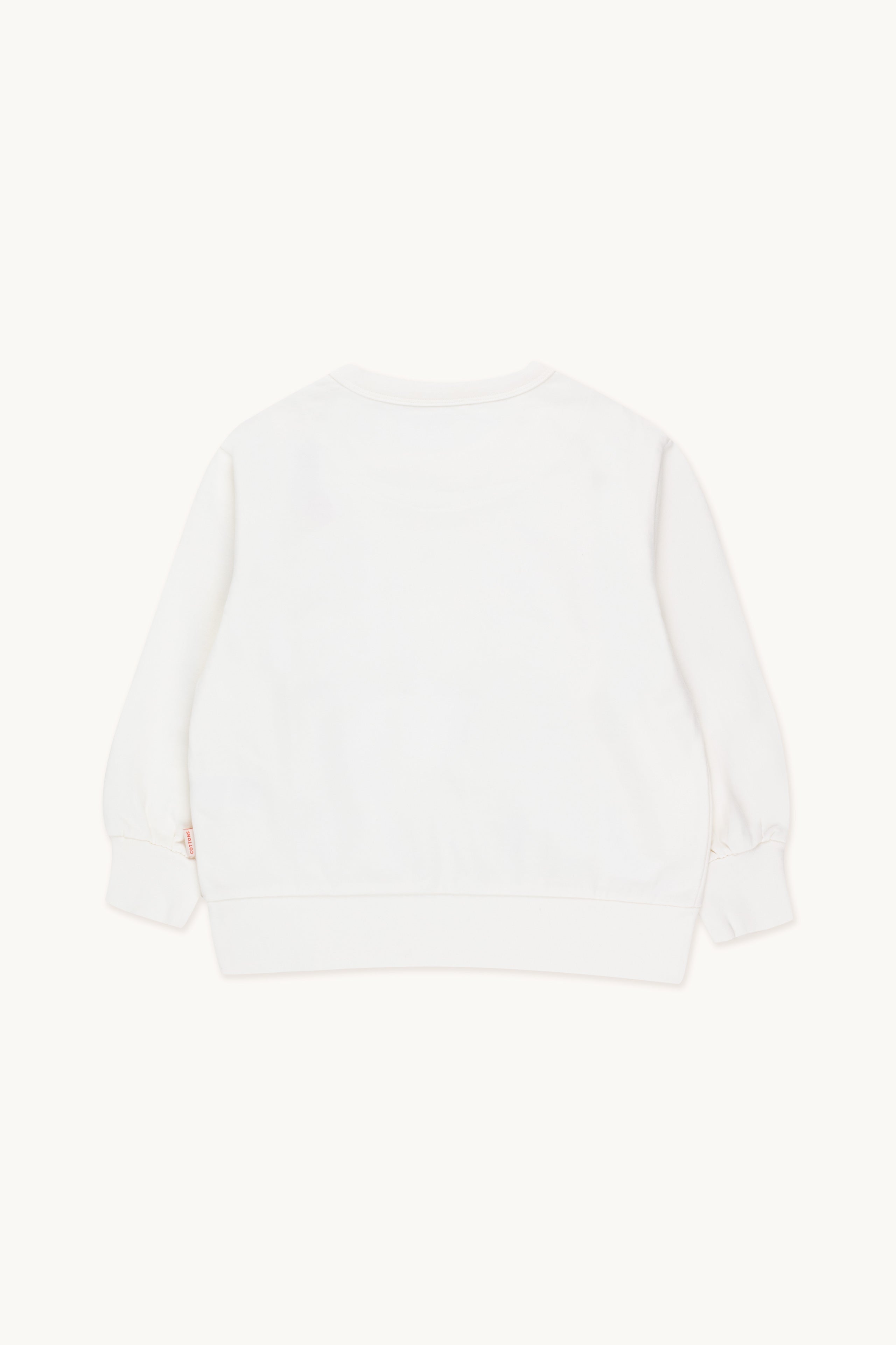 SUDADERA FLAMINGOS